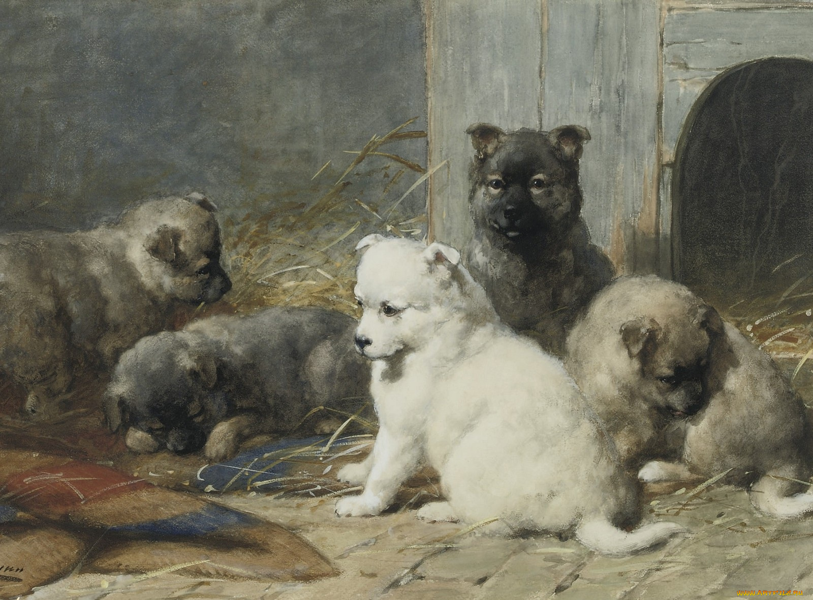 рисованные, otto, eerelman