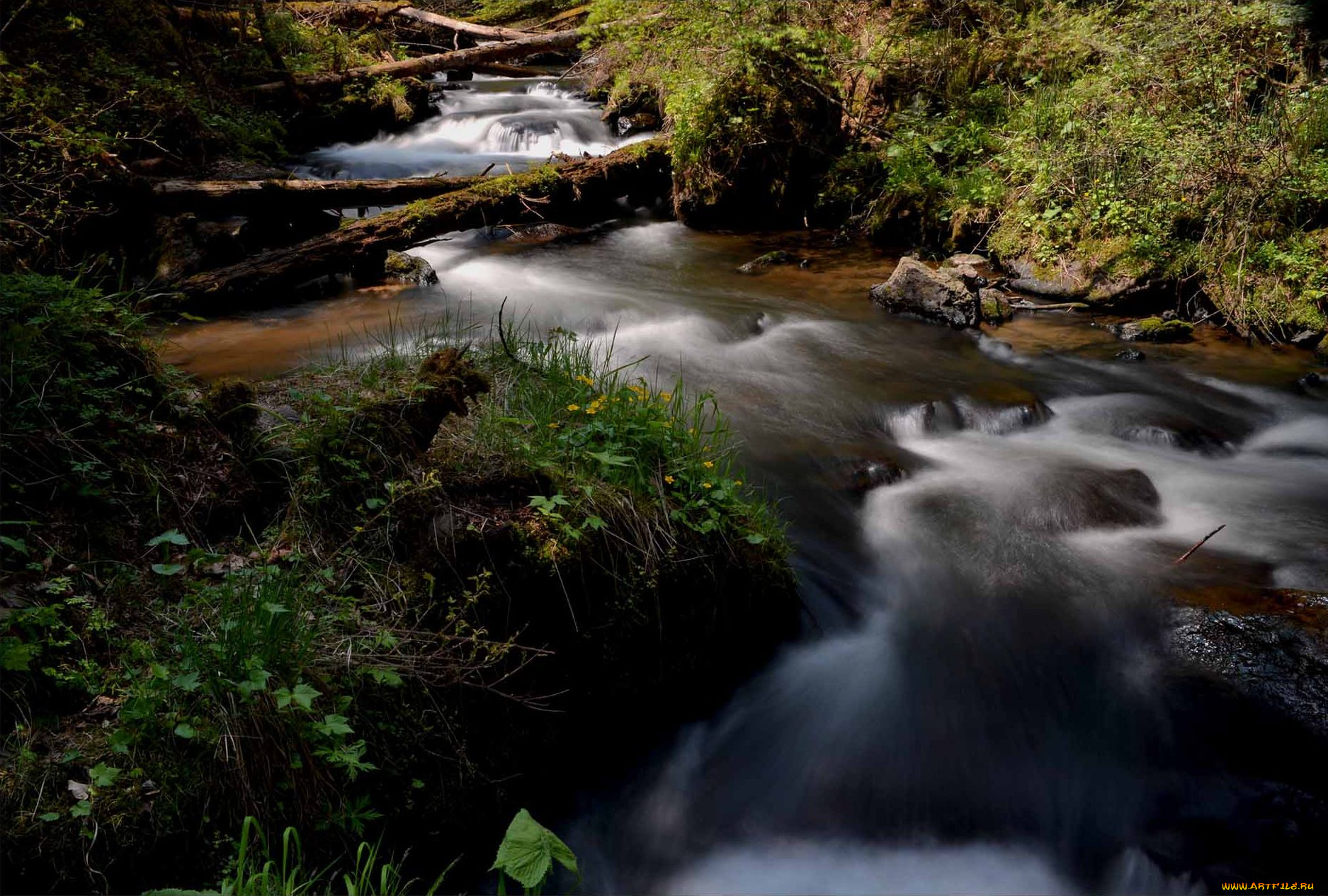 природа, реки, озера, river