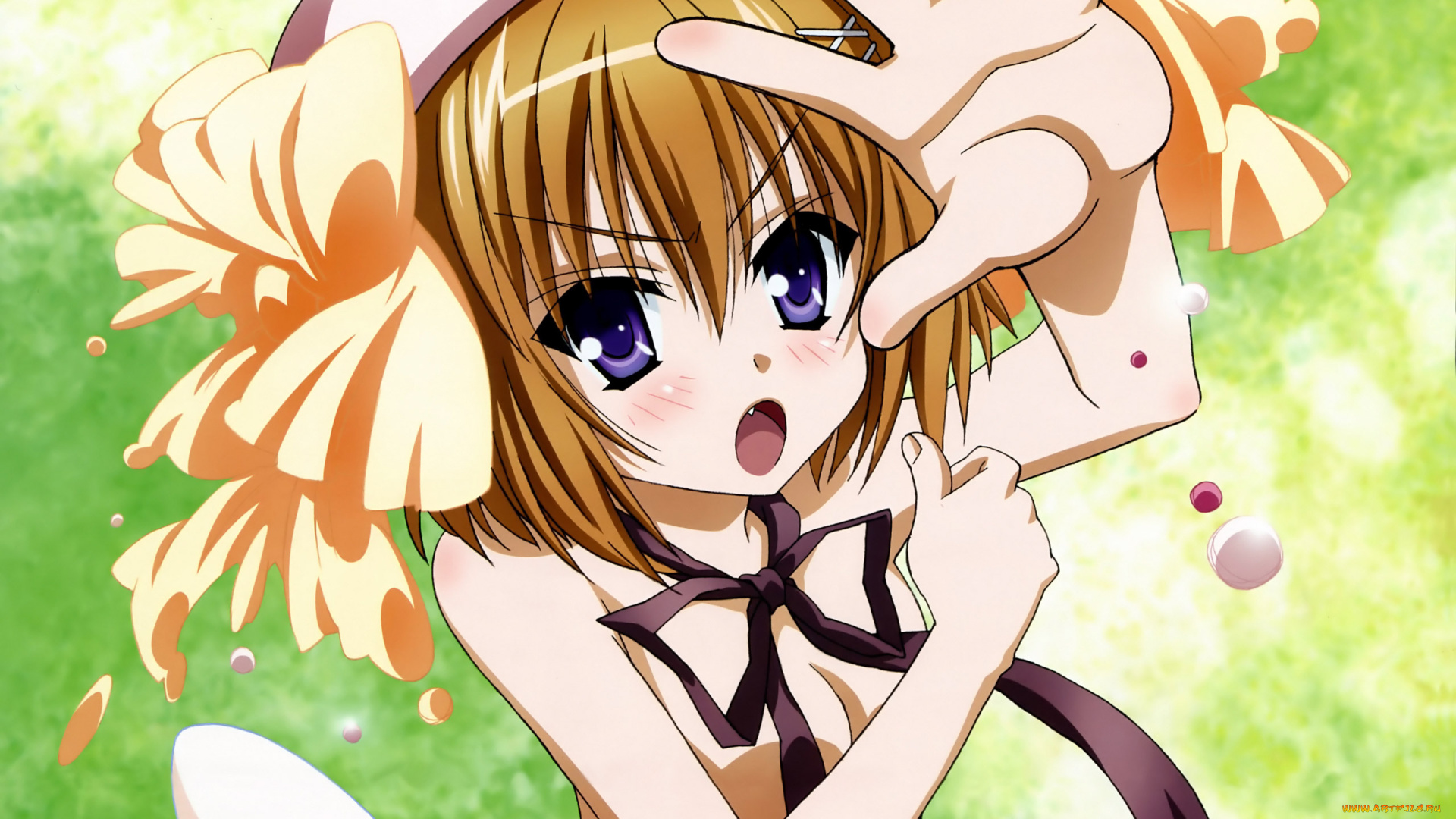 аниме, kore, wa, zombie, desu, ka