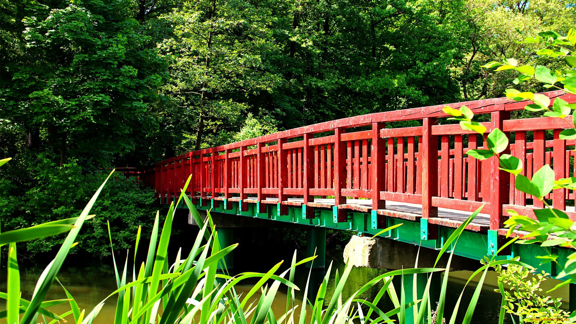 автор, thean, природа, парк, мостик, водоем