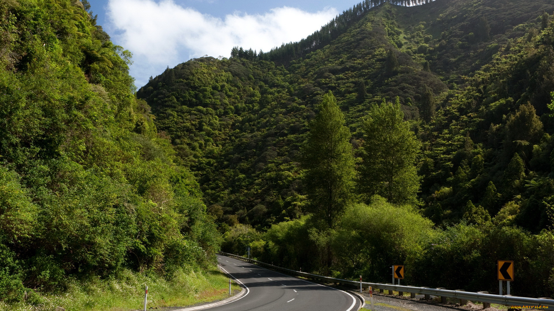 new, zealand, природа, дороги, дорога, деревья, кусты, горы