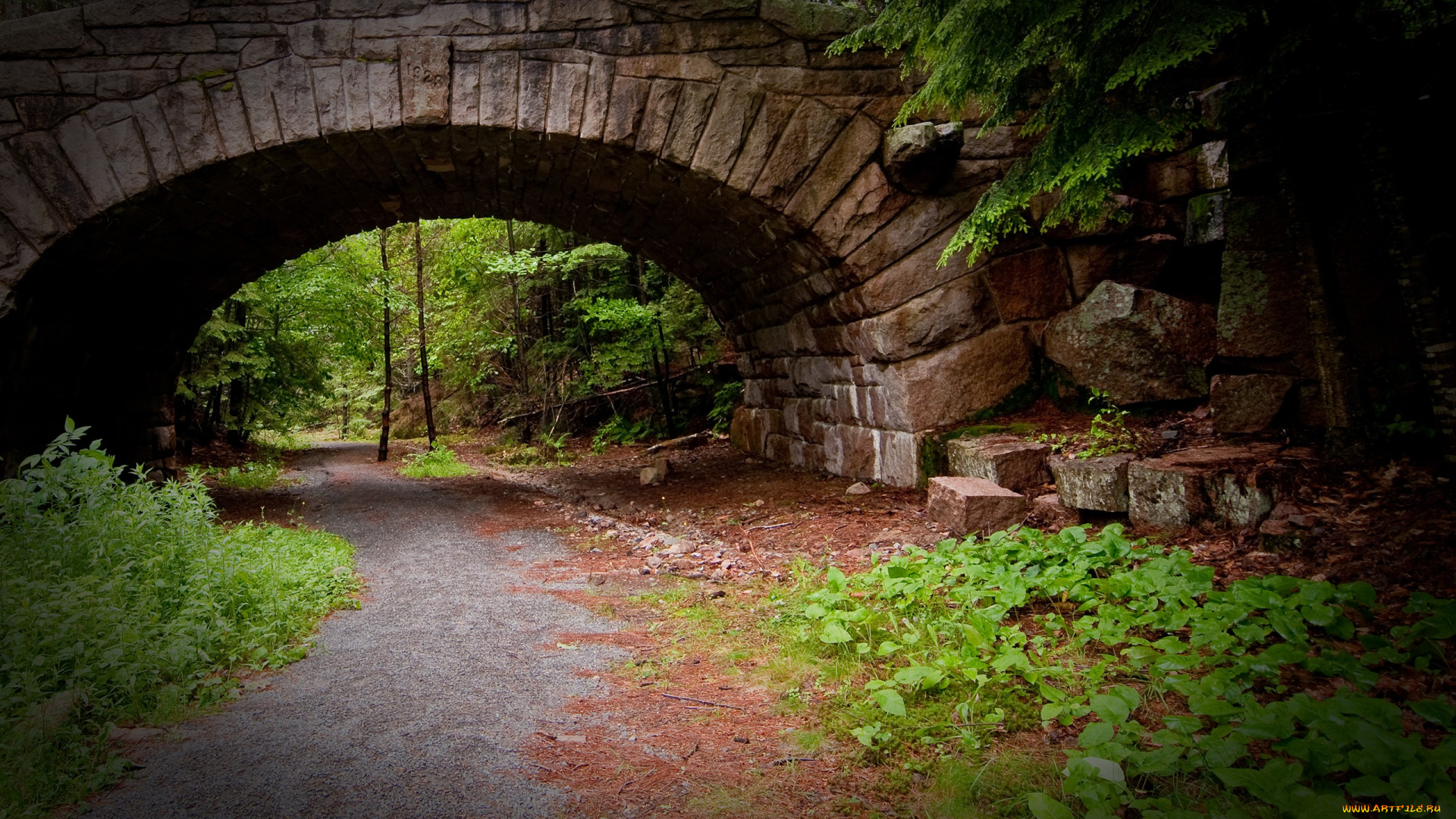 природа, дороги, мост, обочины, трава, зелень