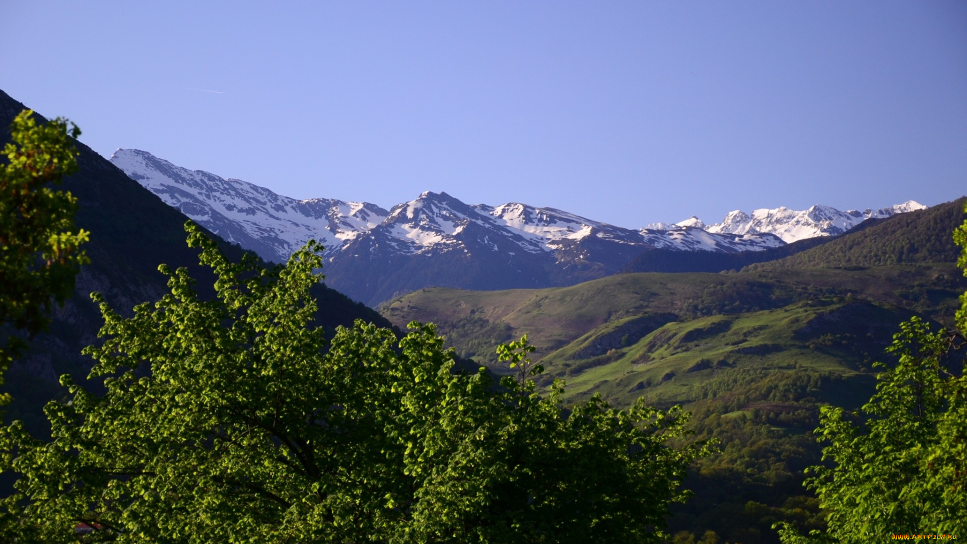 природа, горы, вершины, снег, деревья