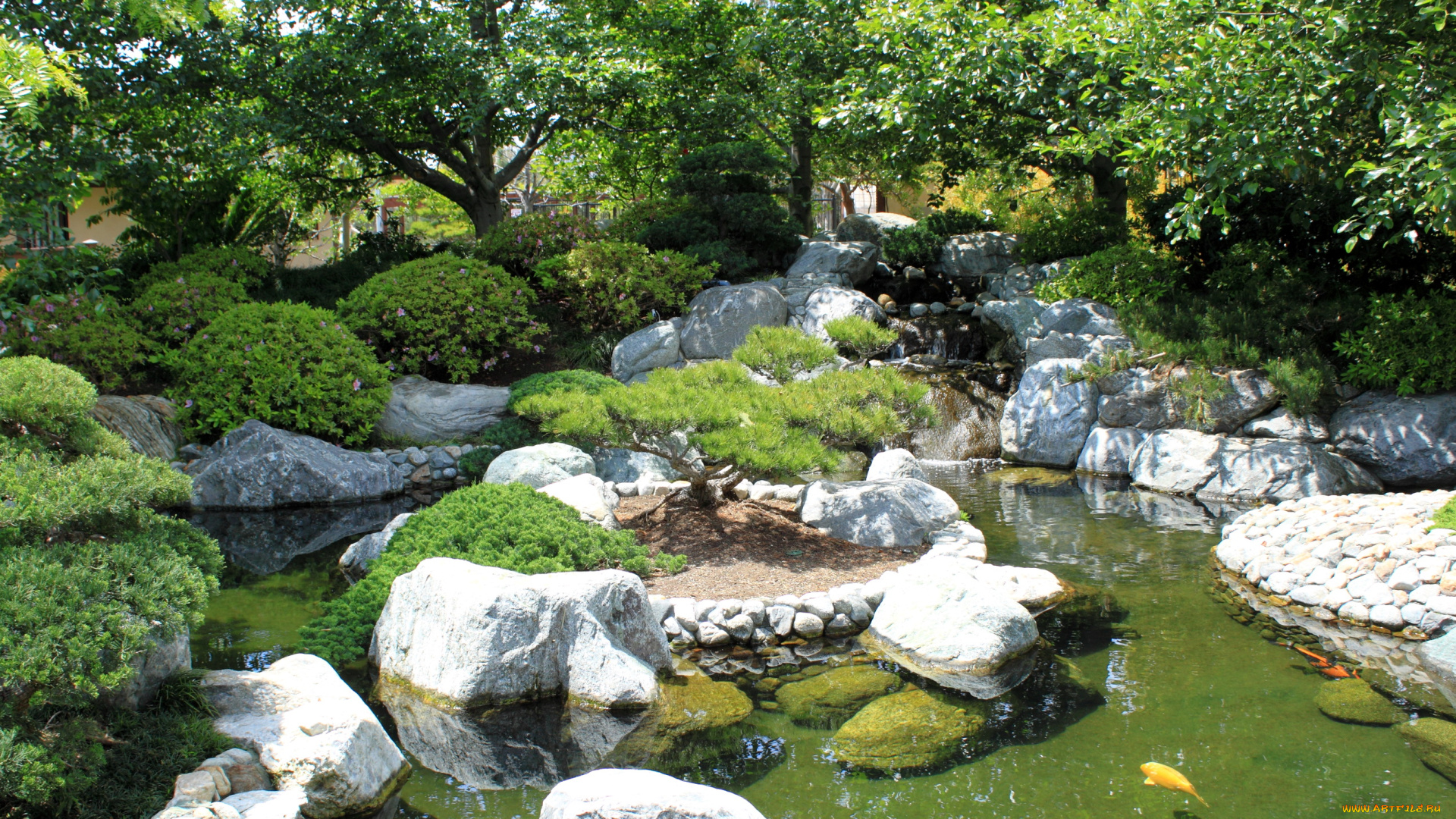 природа, парк, japanese, garden, balboa, park, san, diego, california