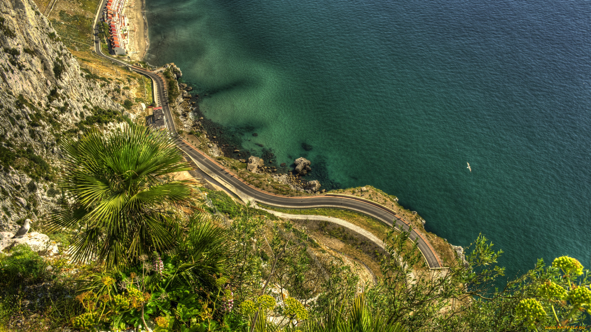 природа, побережье, gibraltar, гибралтар, море, дорога, пальмы, скала