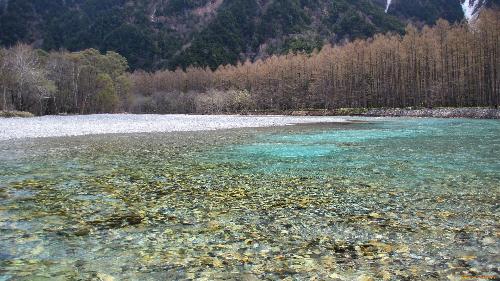 природа, реки, озера, река, весна