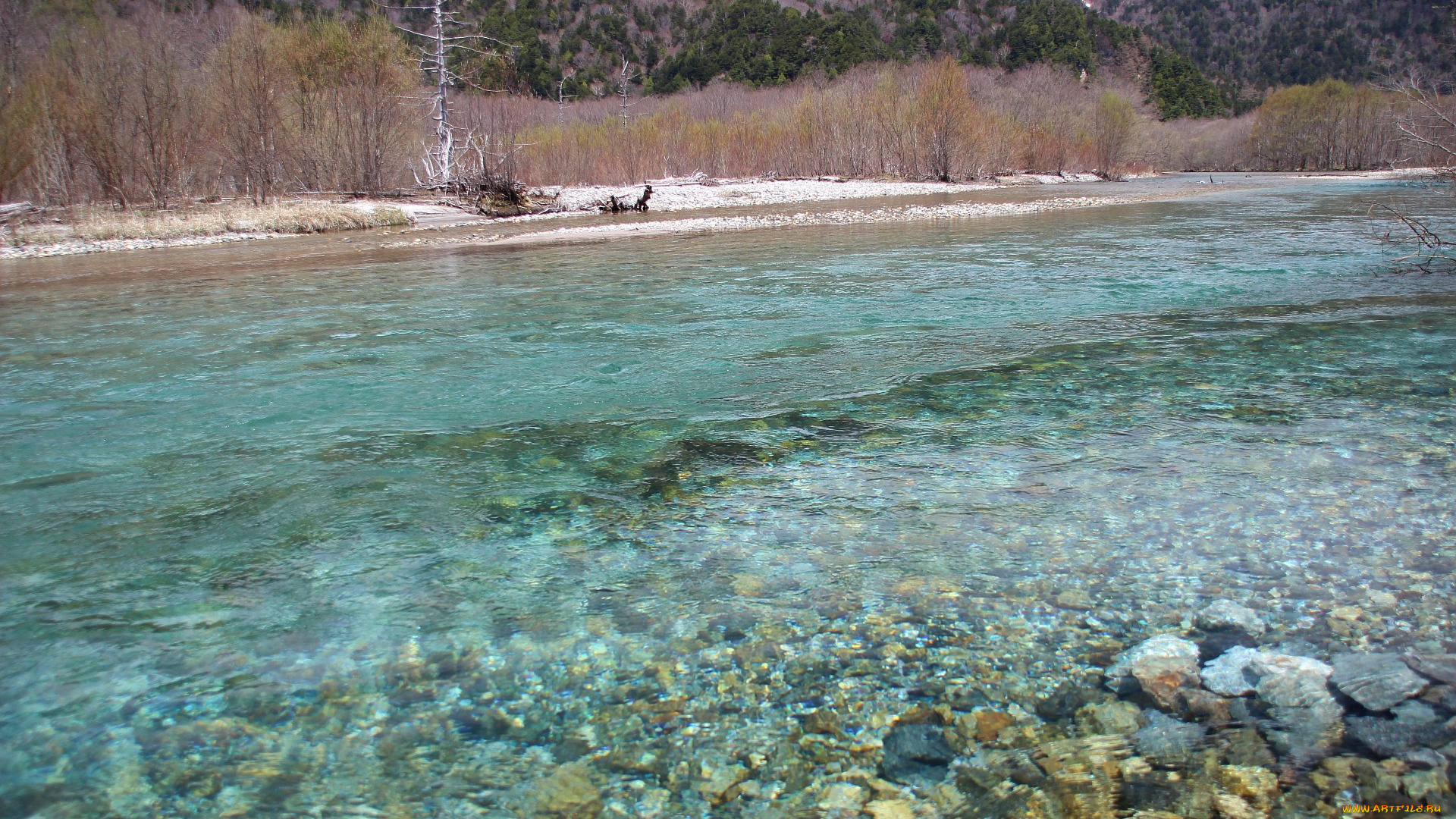 природа, реки, озера, весна, река