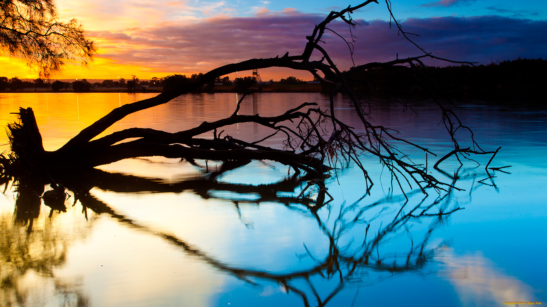 природа, реки, озера, закат, дерево, река