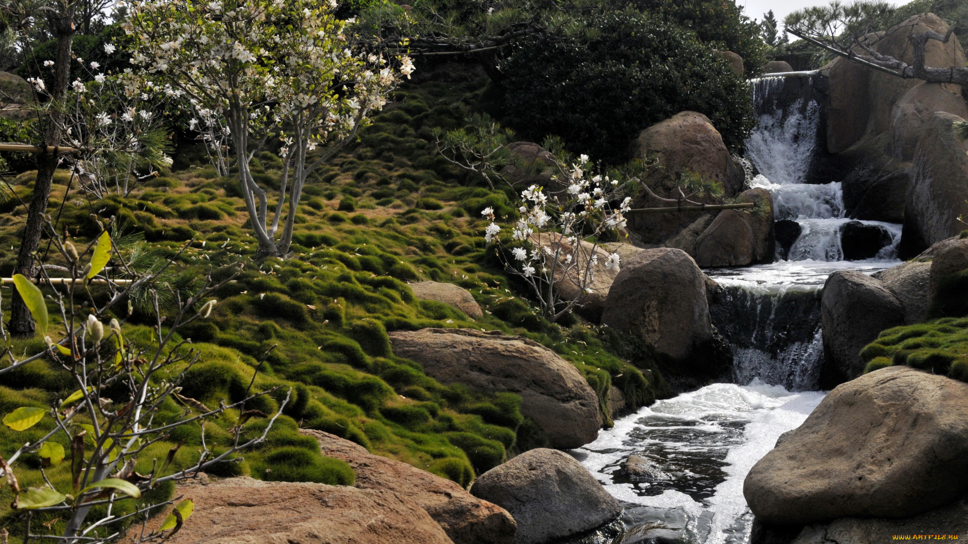 природа, водопады, california