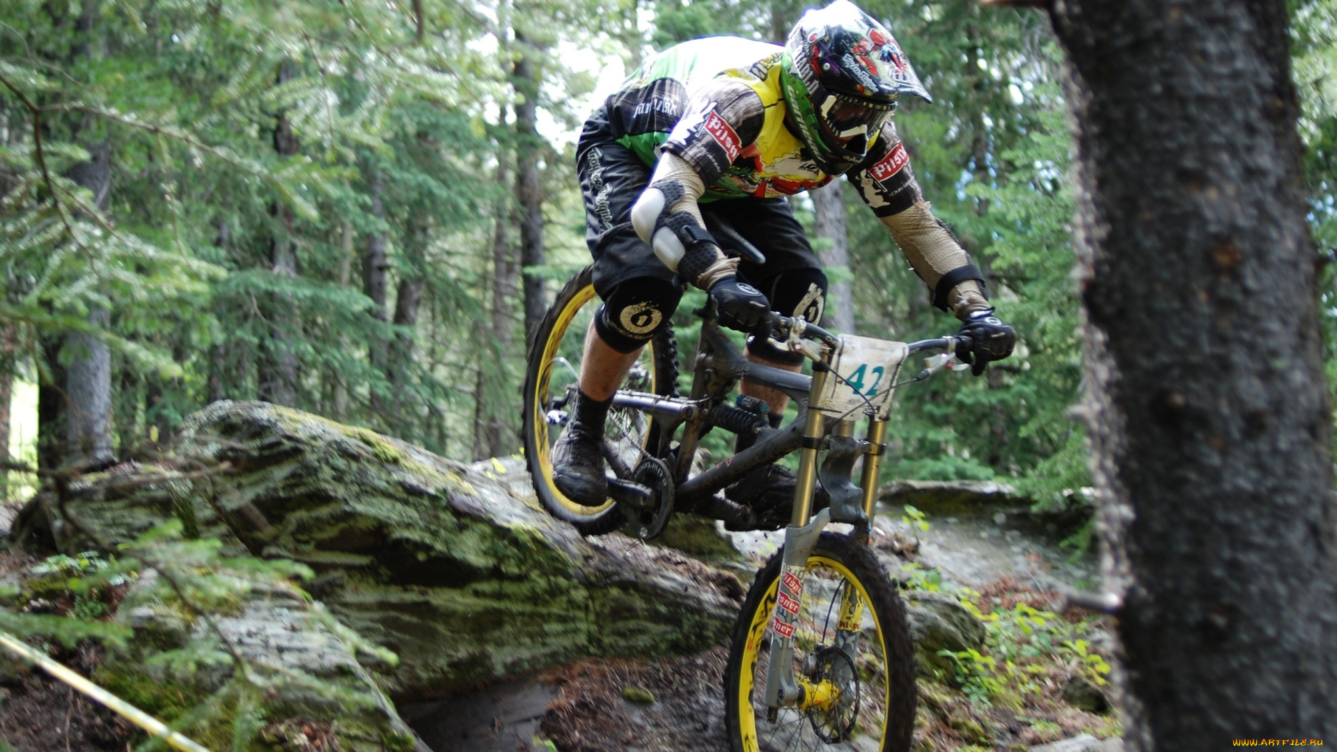 спорт, велоспорт, велокросс, лес, склон, тайга