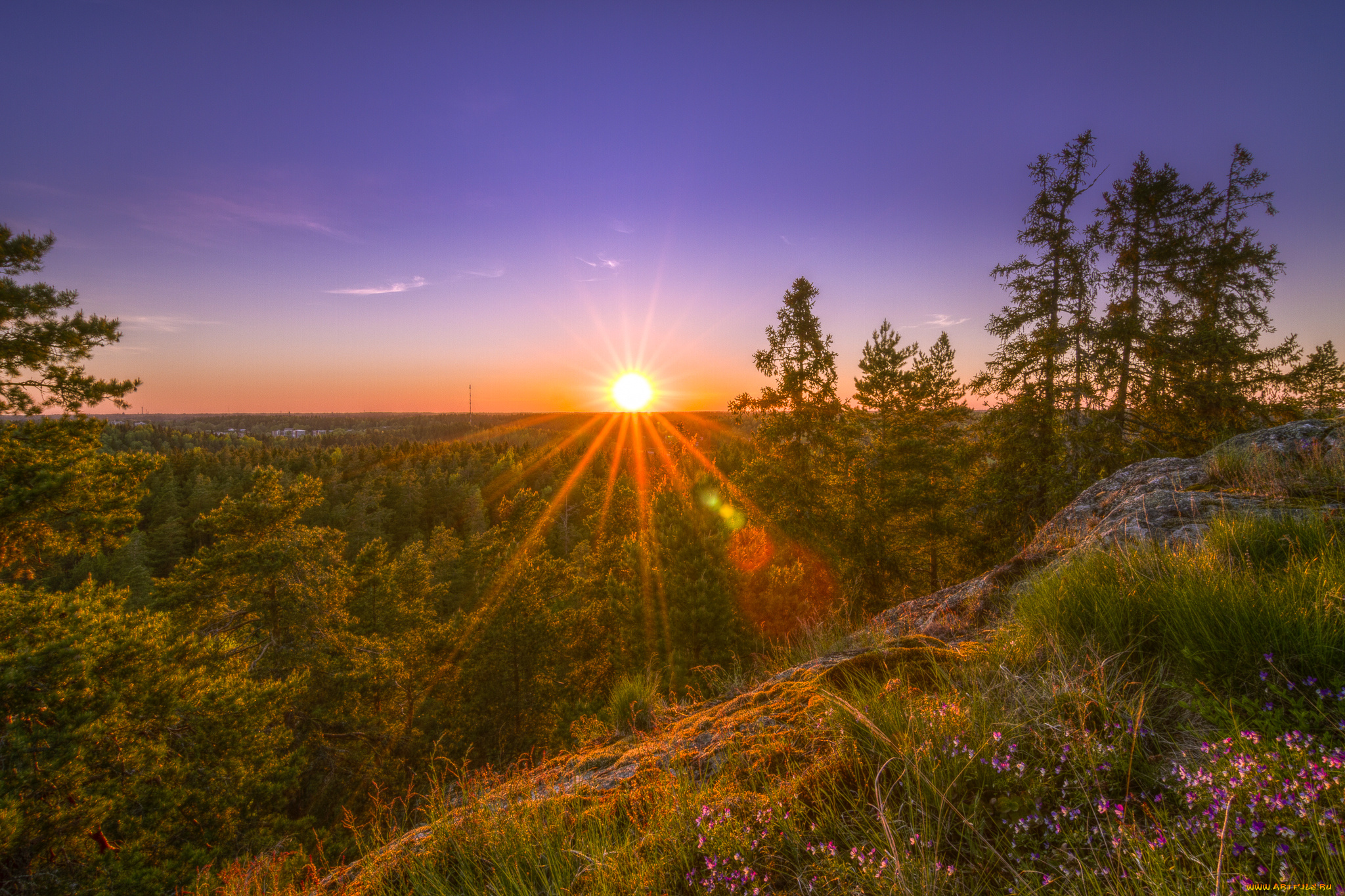 природа, восходы, закаты, пейзаж, деревья, закат, лес