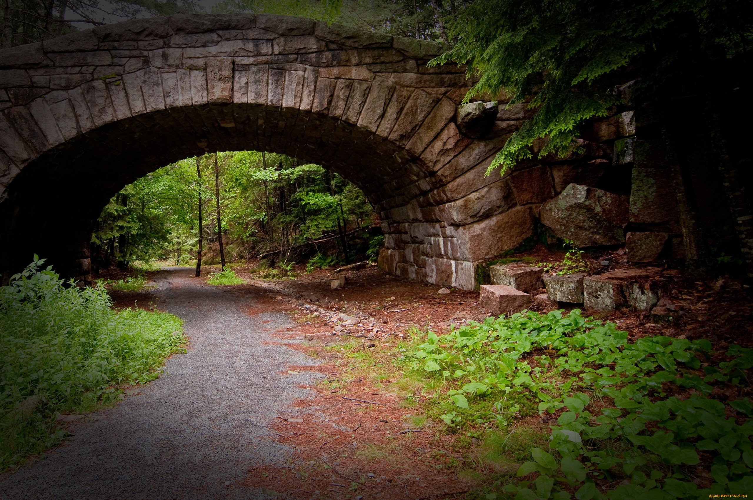 природа, дороги, мост, обочины, трава, зелень