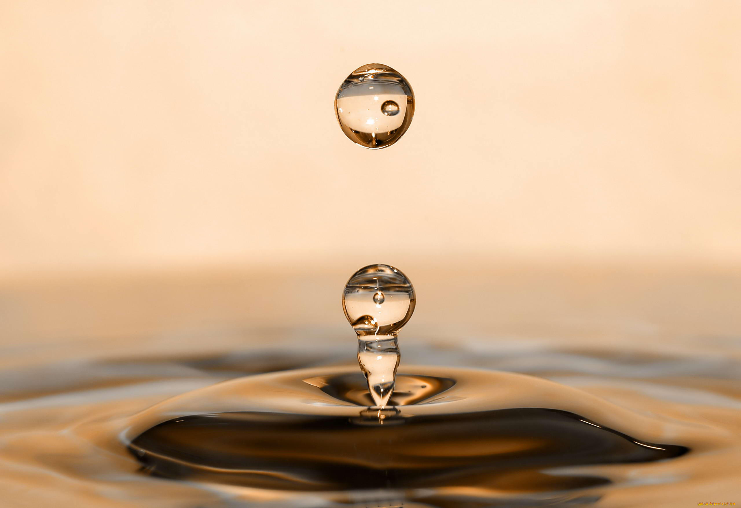 разное, капли, брызги, всплески, капля, воды