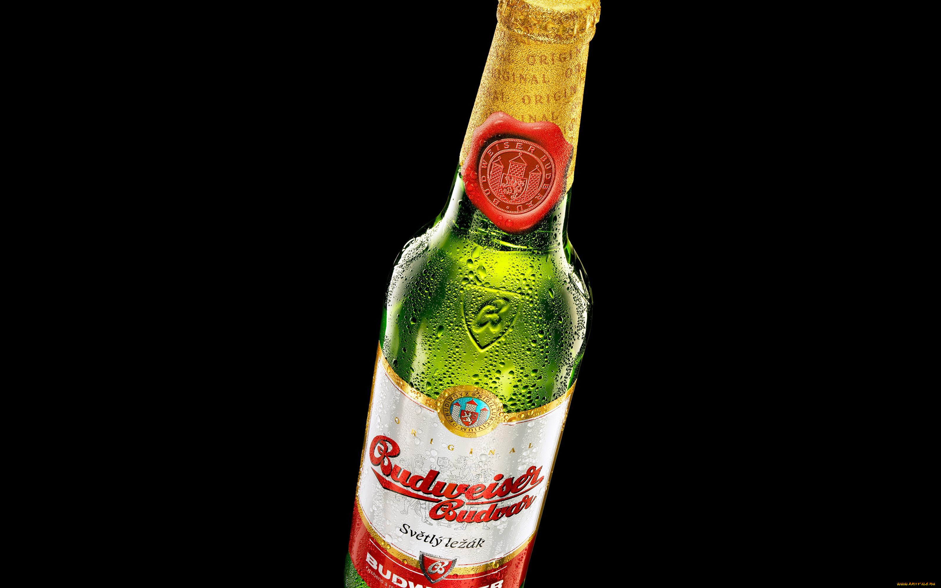 budweiser, бренды, пиво