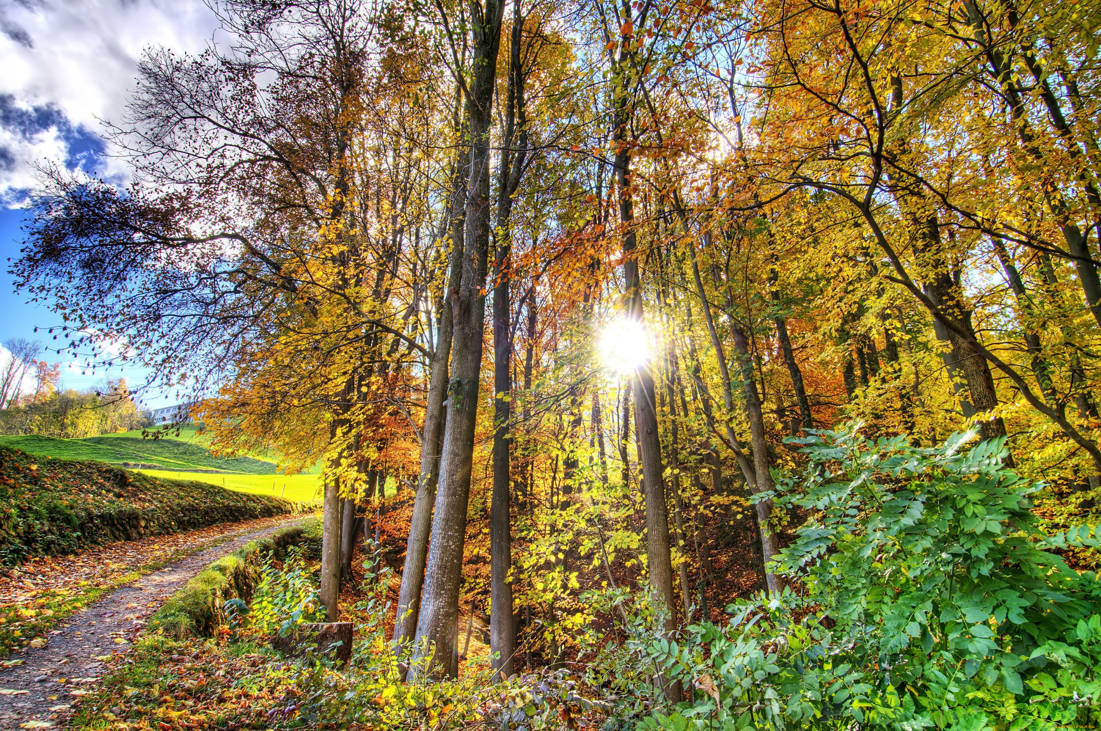 природа, восходы, закаты, лучи, свет, осень, дорога