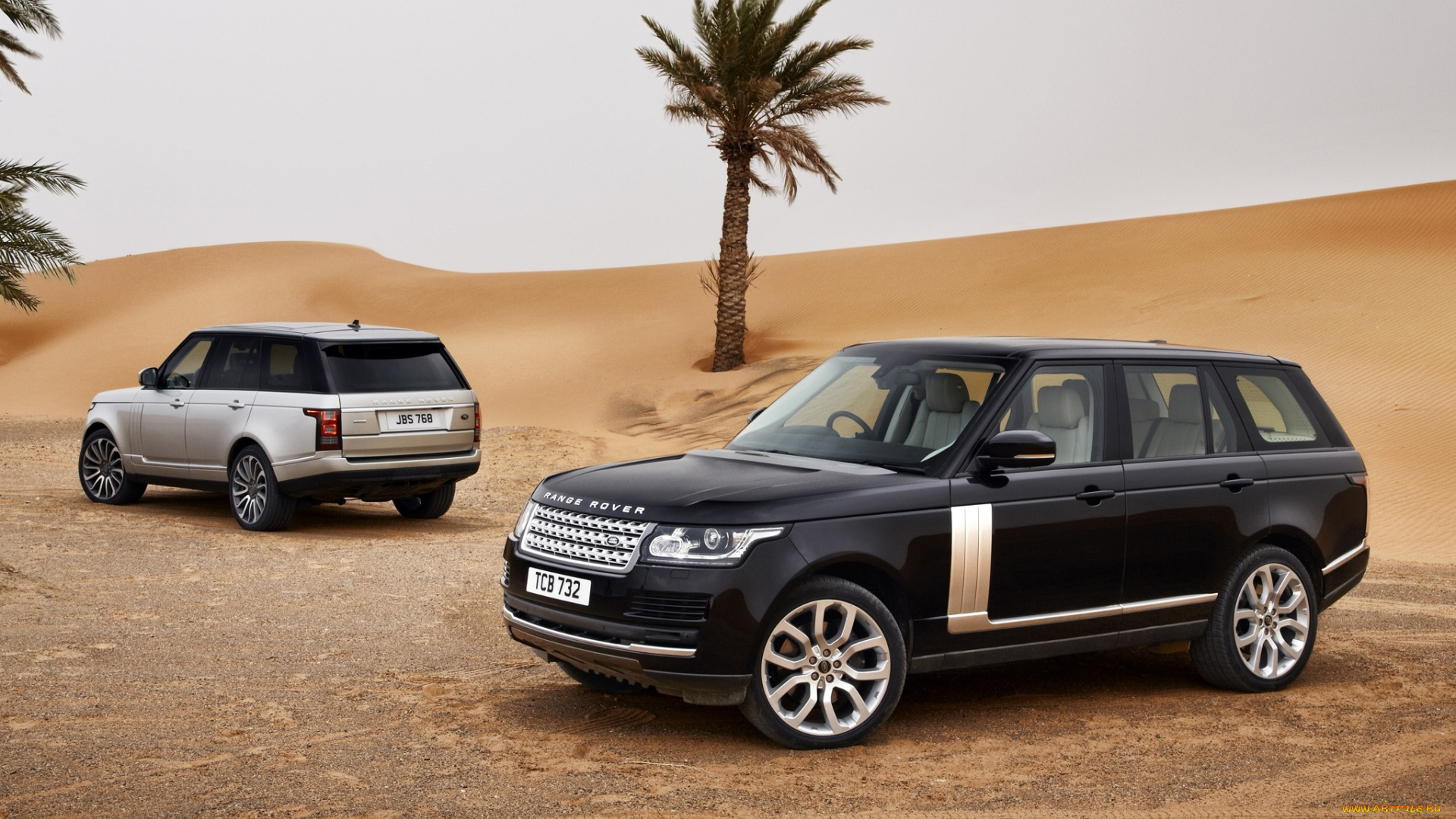 автомобили, land, rover, песок, пустыня, пальмы, небо