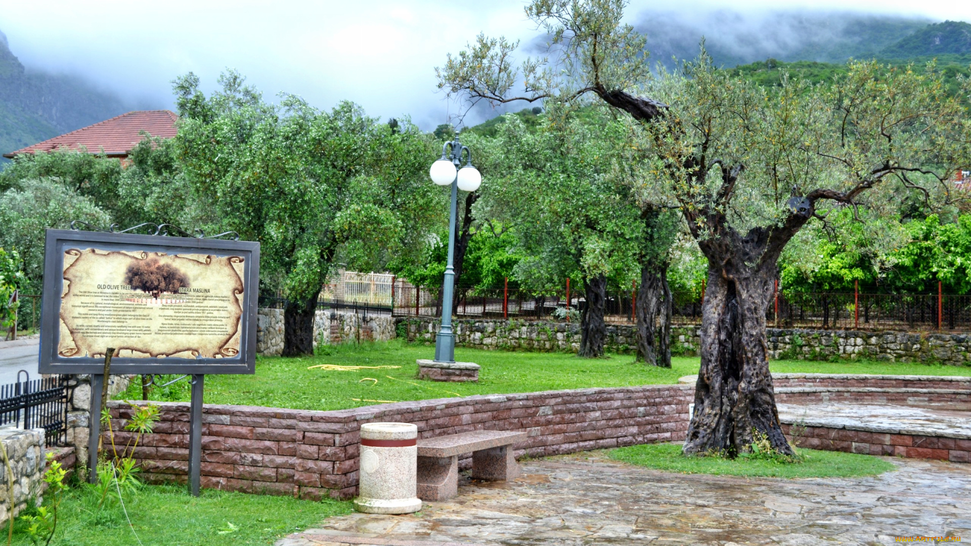 Черногория, бар, города, пейзажи, парк, фонари, ограда, дорожки, деревья