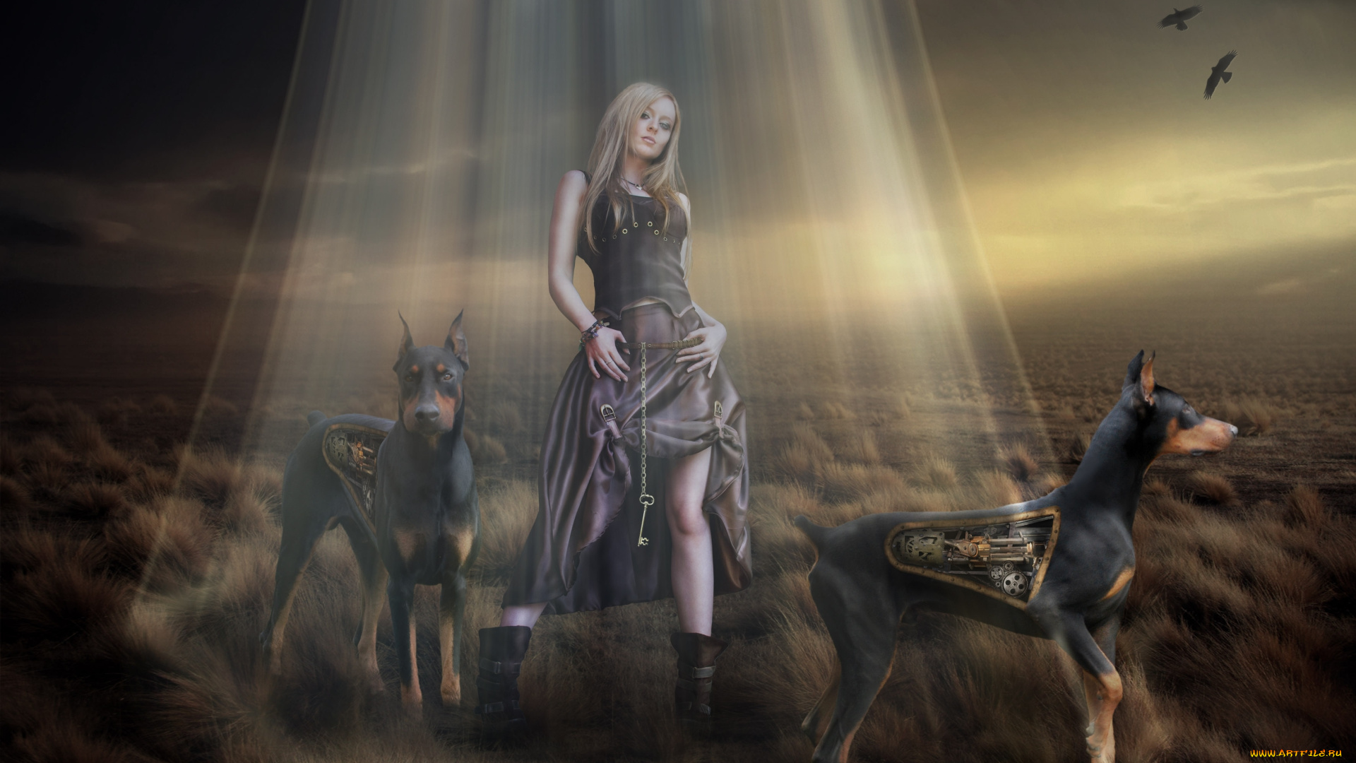 фэнтези, девушки, собаки, роботы, доберманы, взгляд, ключ, девушка
