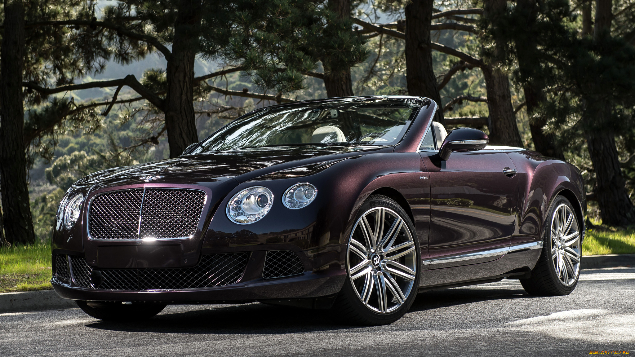 bentley, continental, автомобили, великобритания, motors, элитные, премиум-класс