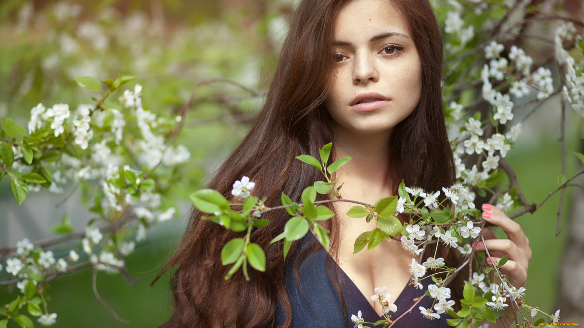 девушки, -unsort, , брюнетки, , шатенки, волосы, весна, алина, авхадиева