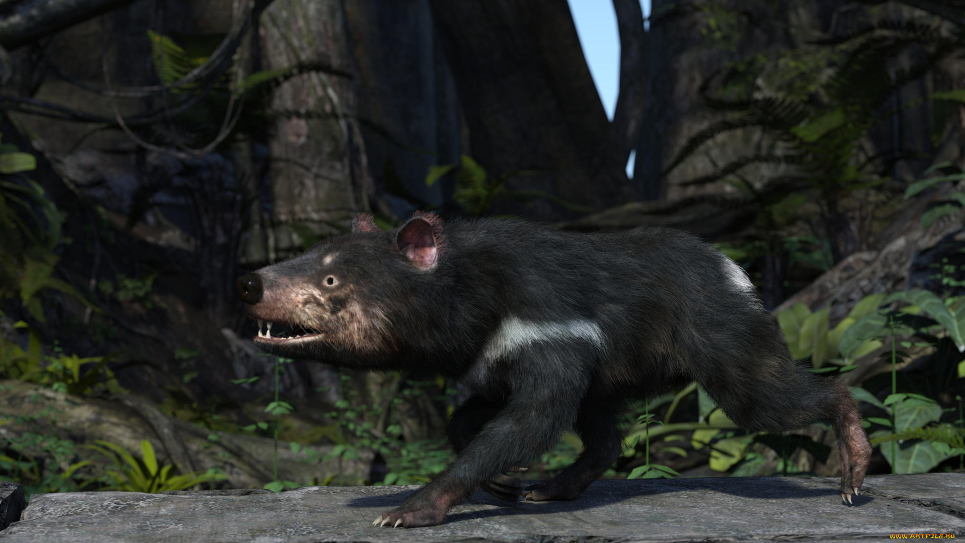 3д, графика, животные, , animals, тасманский, дьявол