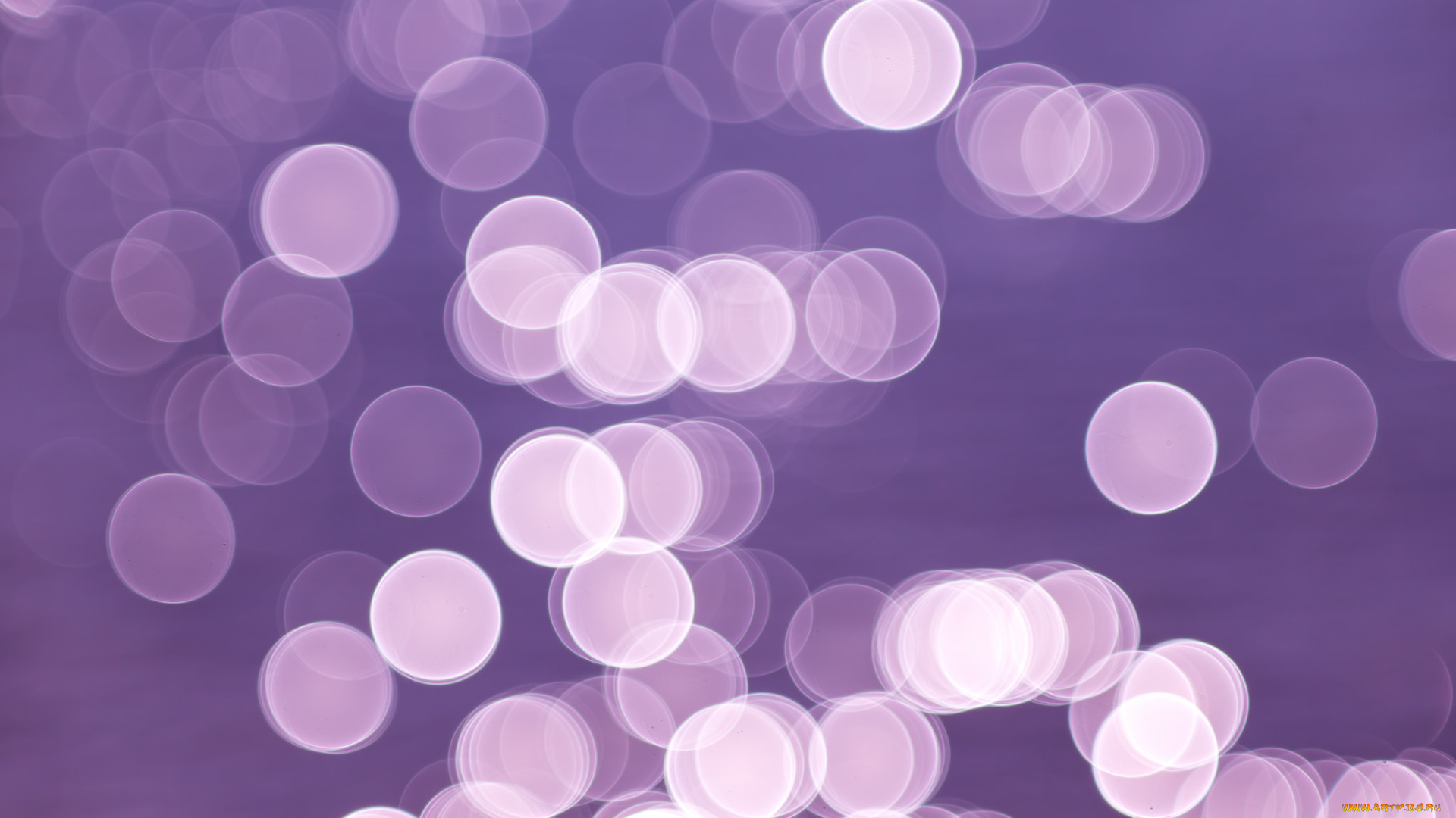 векторная, графика, графика, , graphics, фон, пузырки