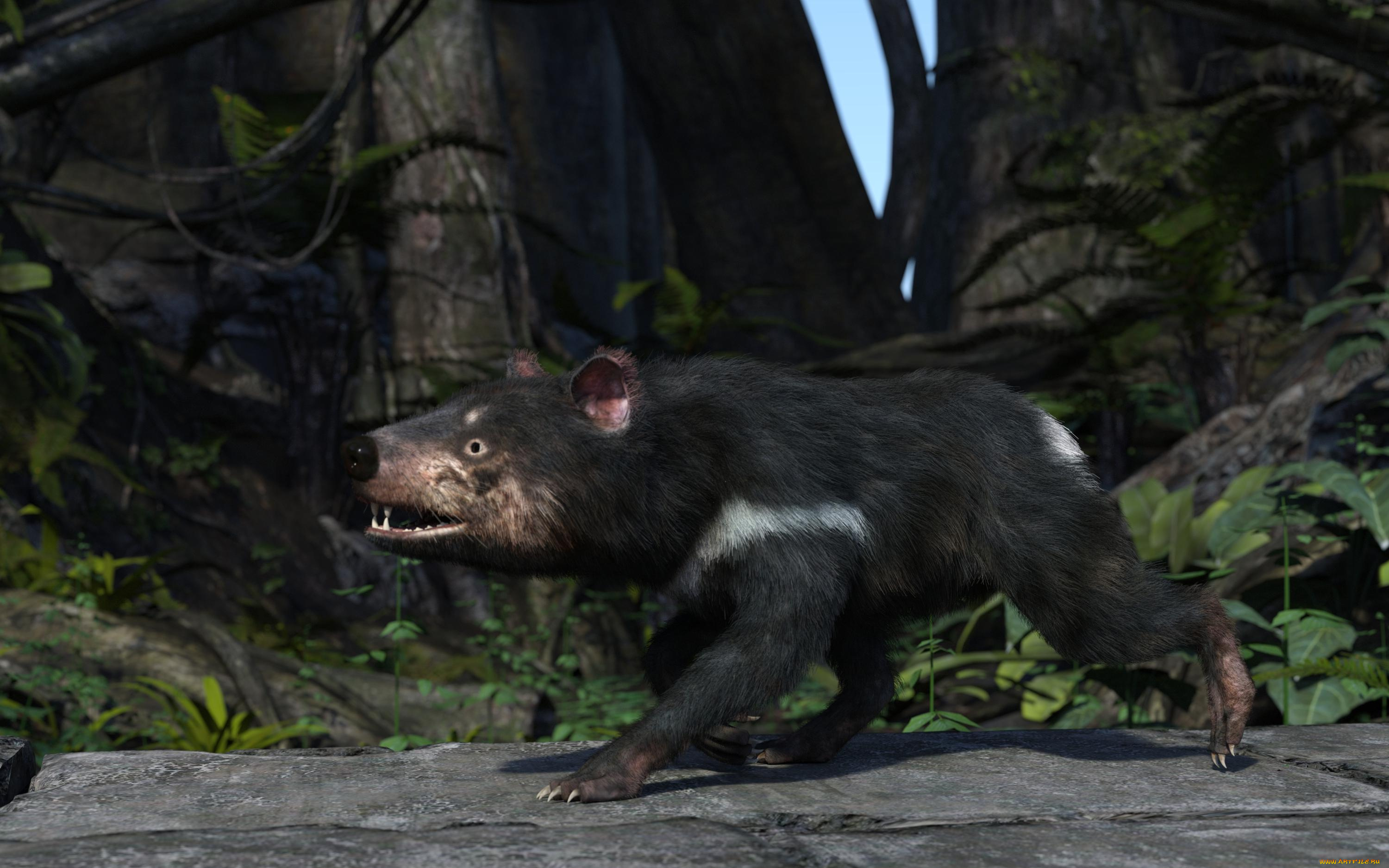 3д, графика, животные, , animals, тасманский, дьявол