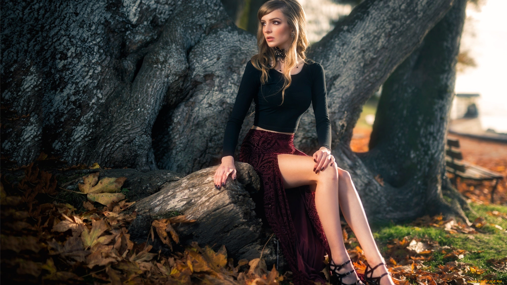 девушки, -unsort, , брюнетки, , шатенки, kyle, cong