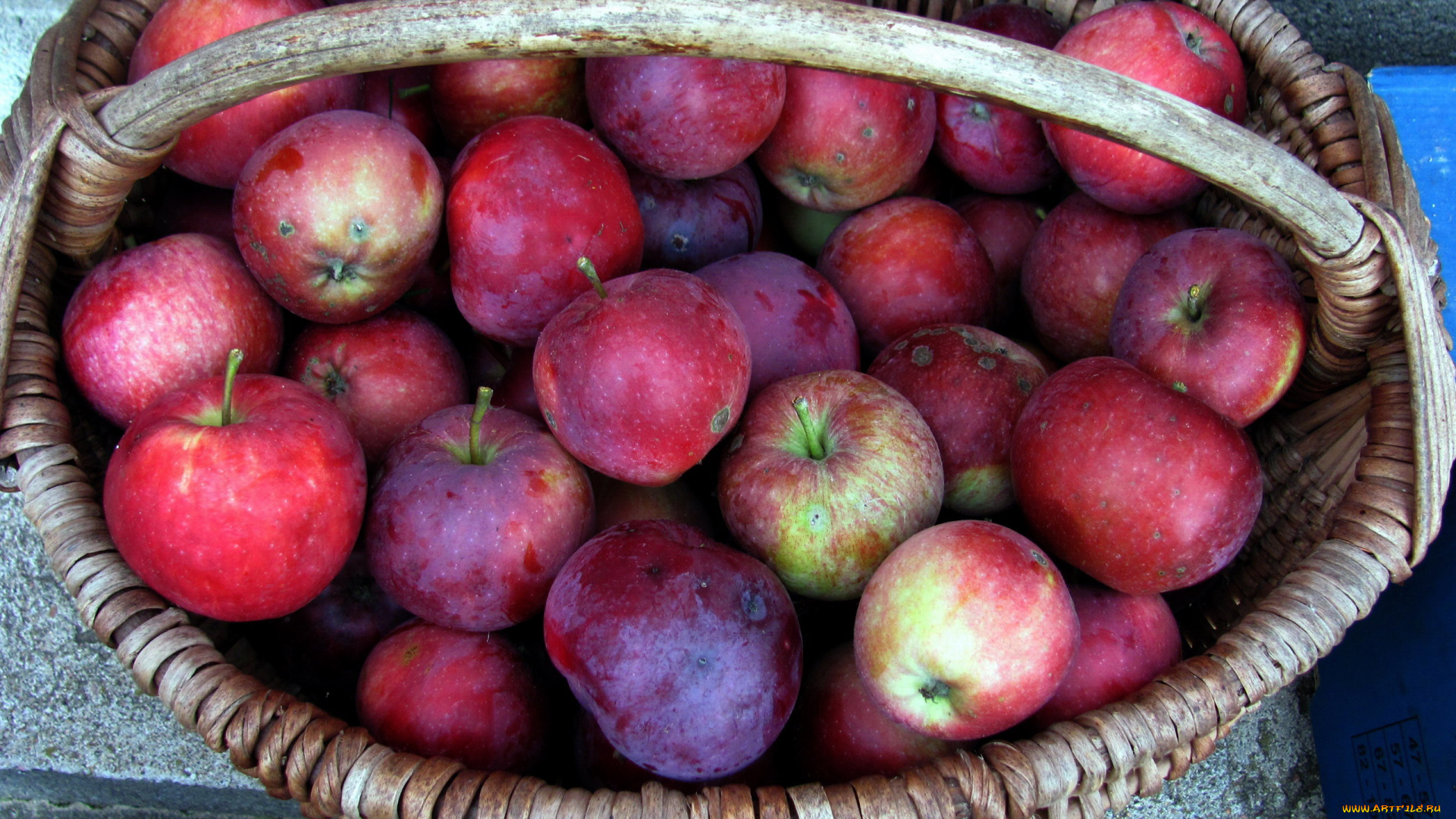 еда, Яблоки, корзина, урожай, яблоки