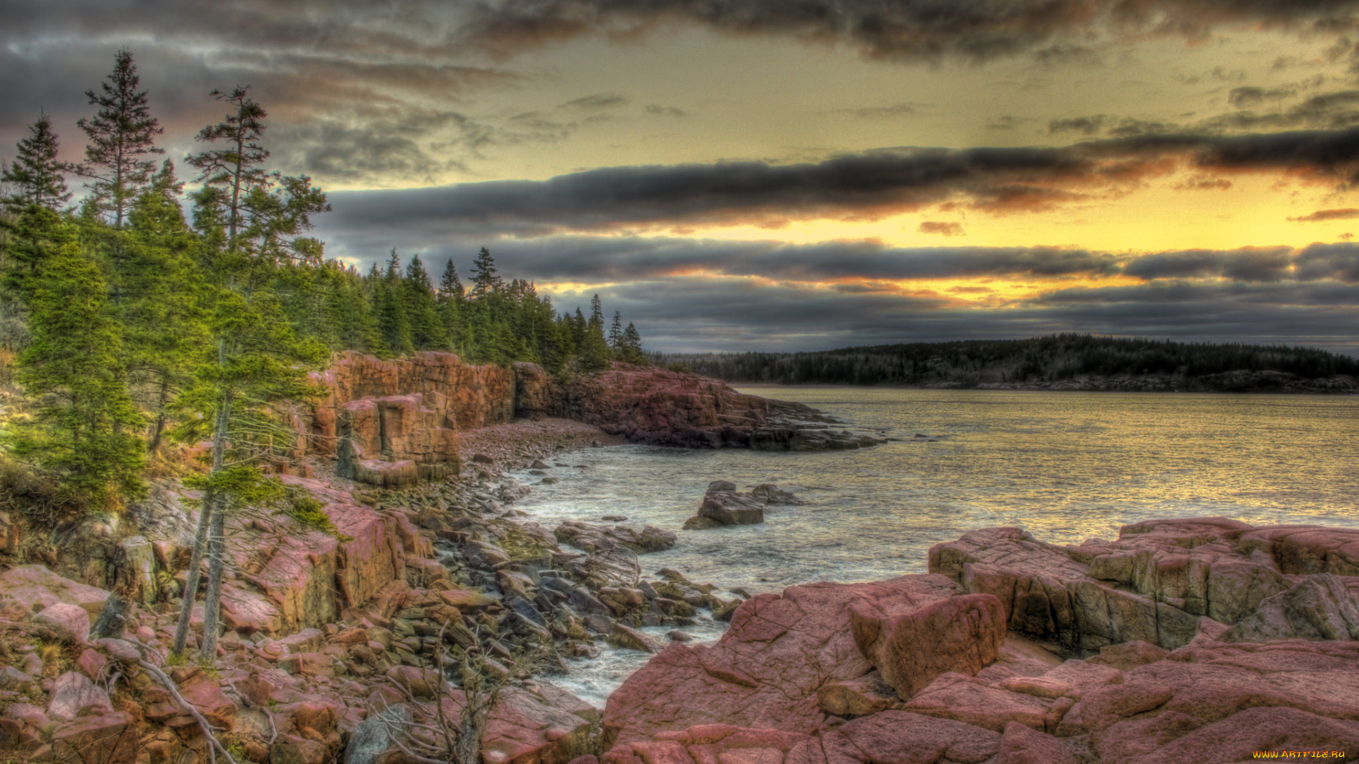 природа, реки, озера, река, лес