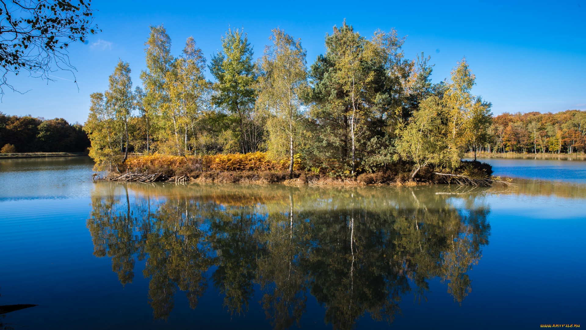 природа, реки, озера, река, лес