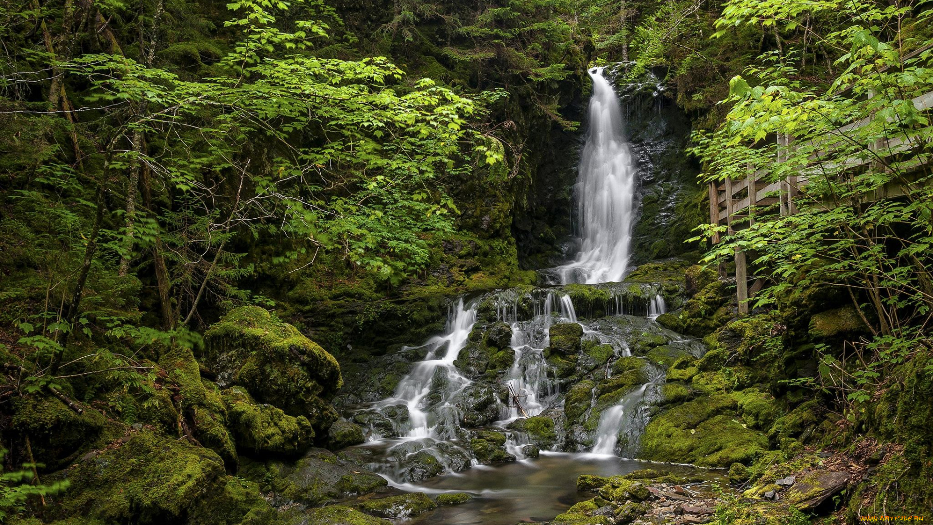 природа, водопады, деревья, лес, водопад, canada, fundy, national, park