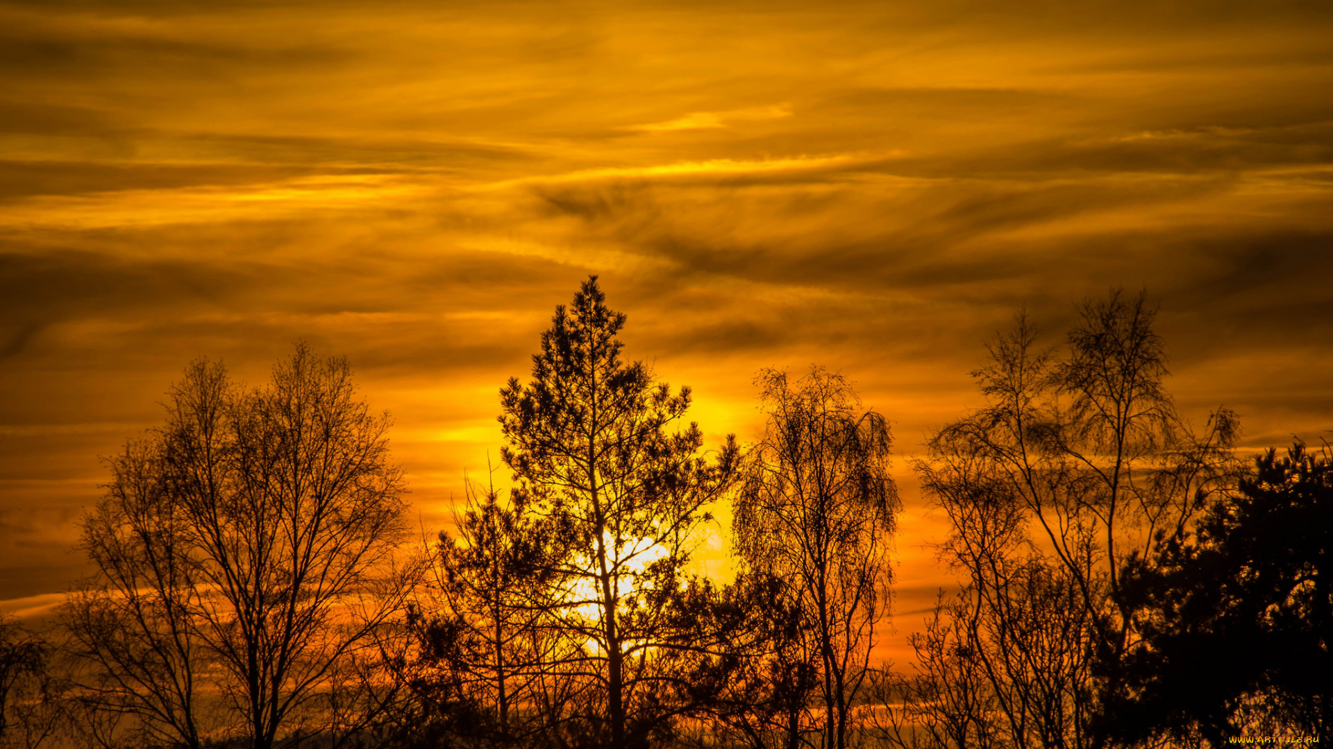 природа, восходы, закаты, рассвет