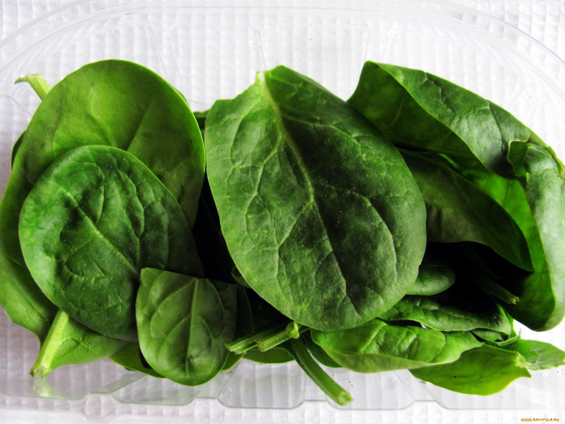 еда, овощи, шпинат