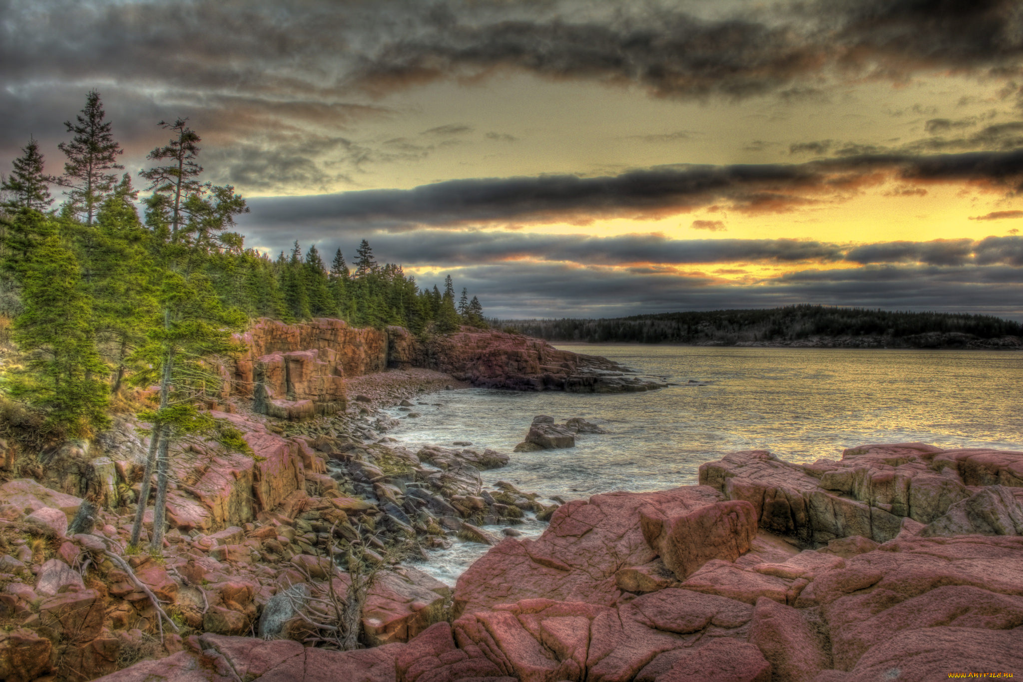 природа, реки, озера, река, лес