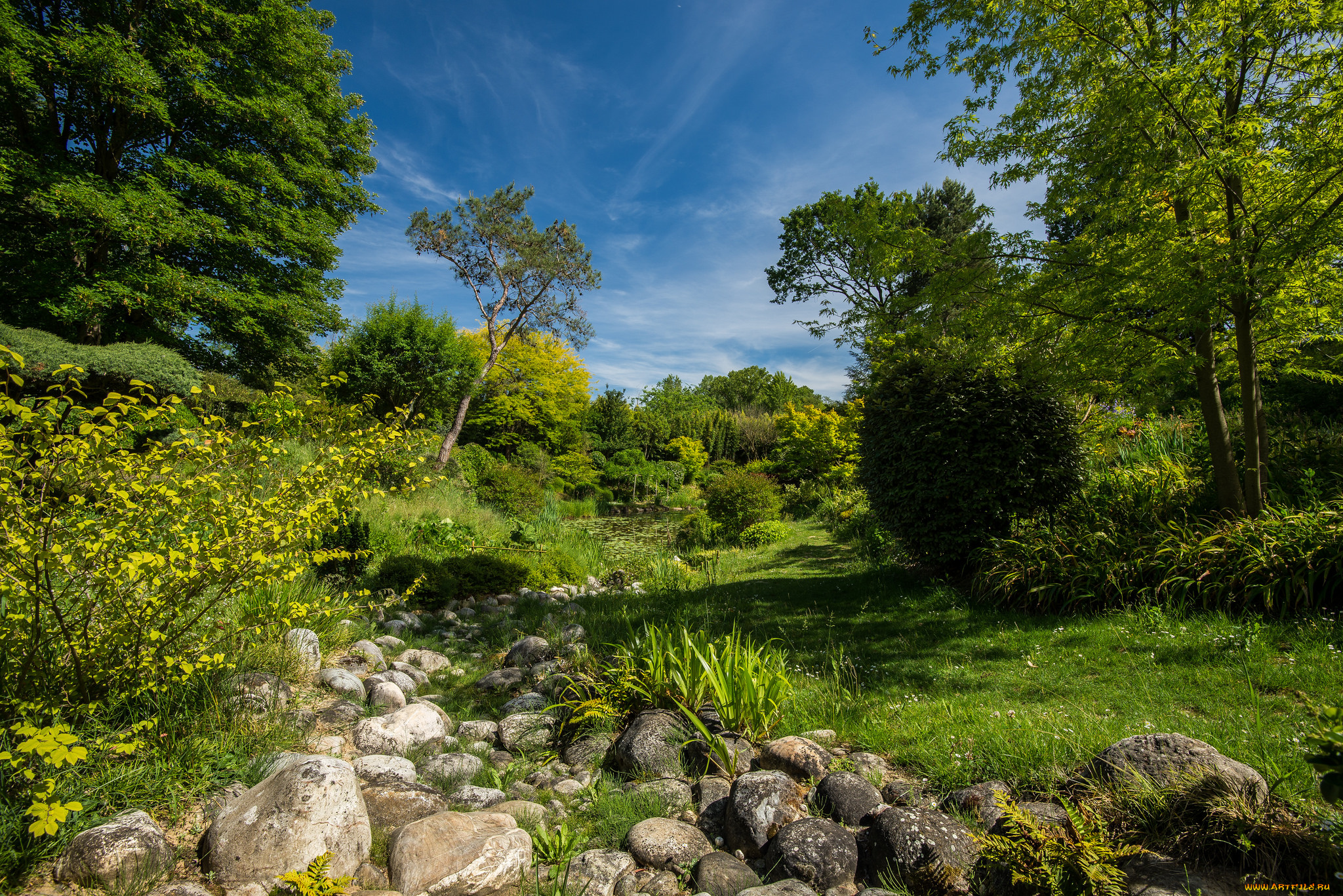 природа, пейзажи, простор