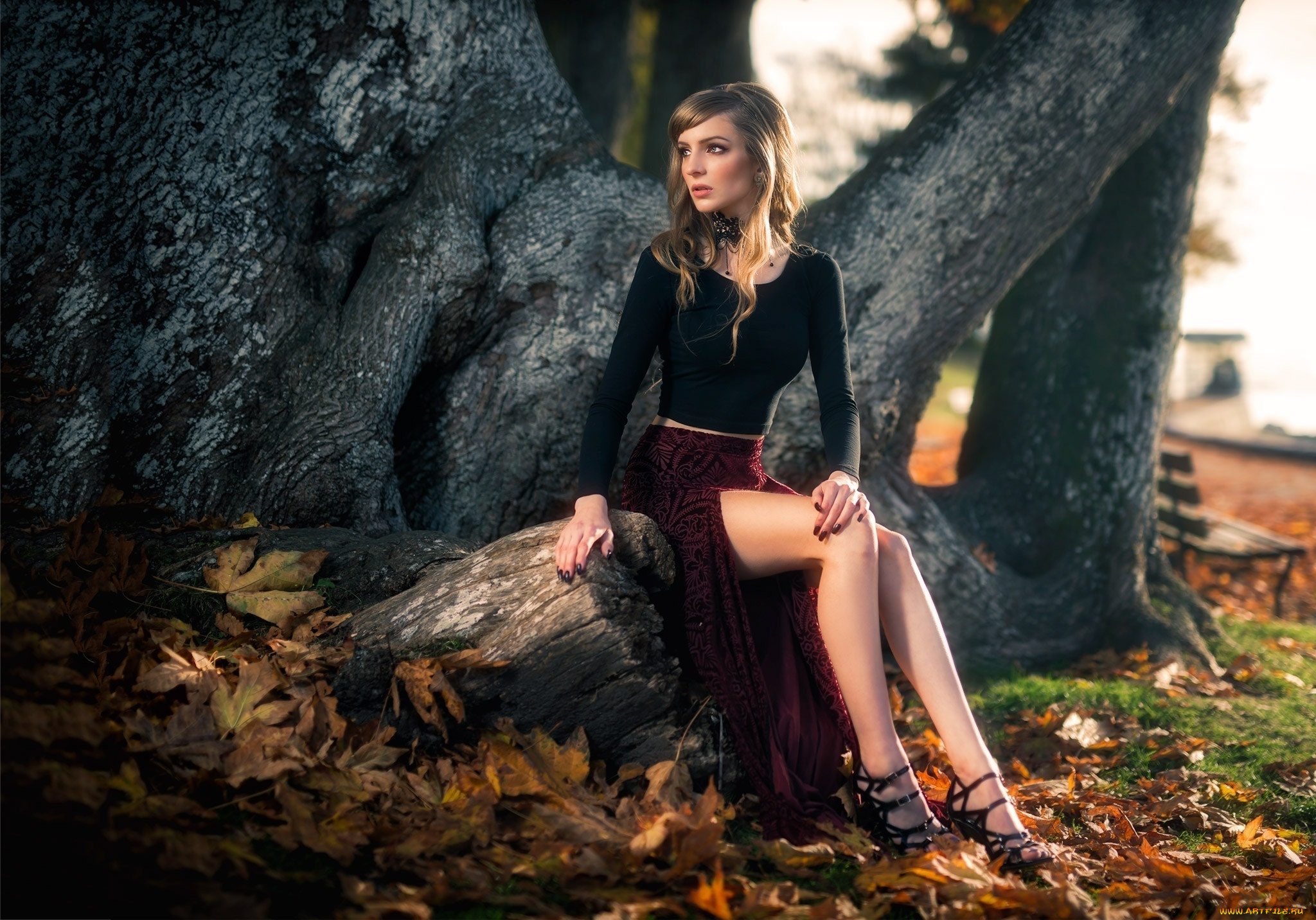 девушки, -unsort, , брюнетки, , шатенки, kyle, cong