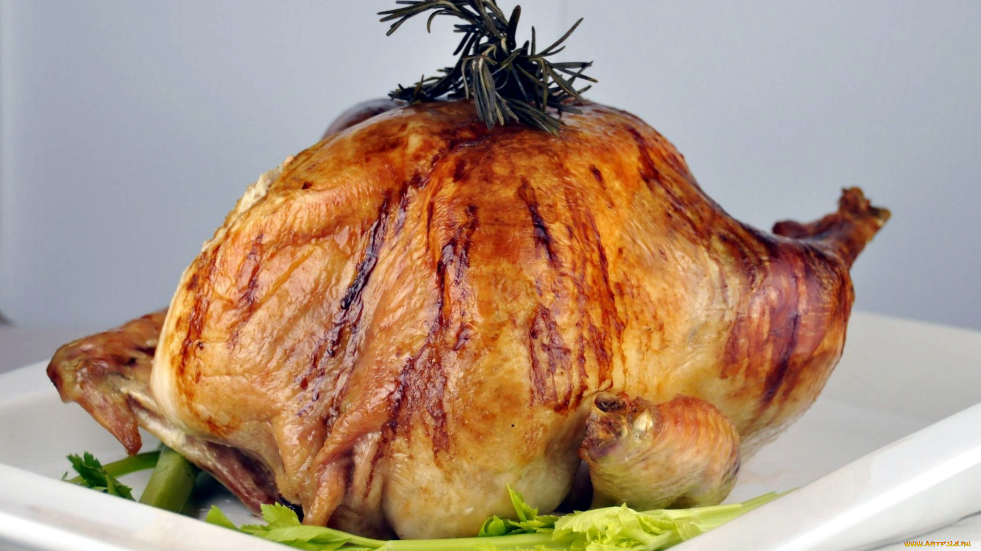 еда, мясные, блюда, курица