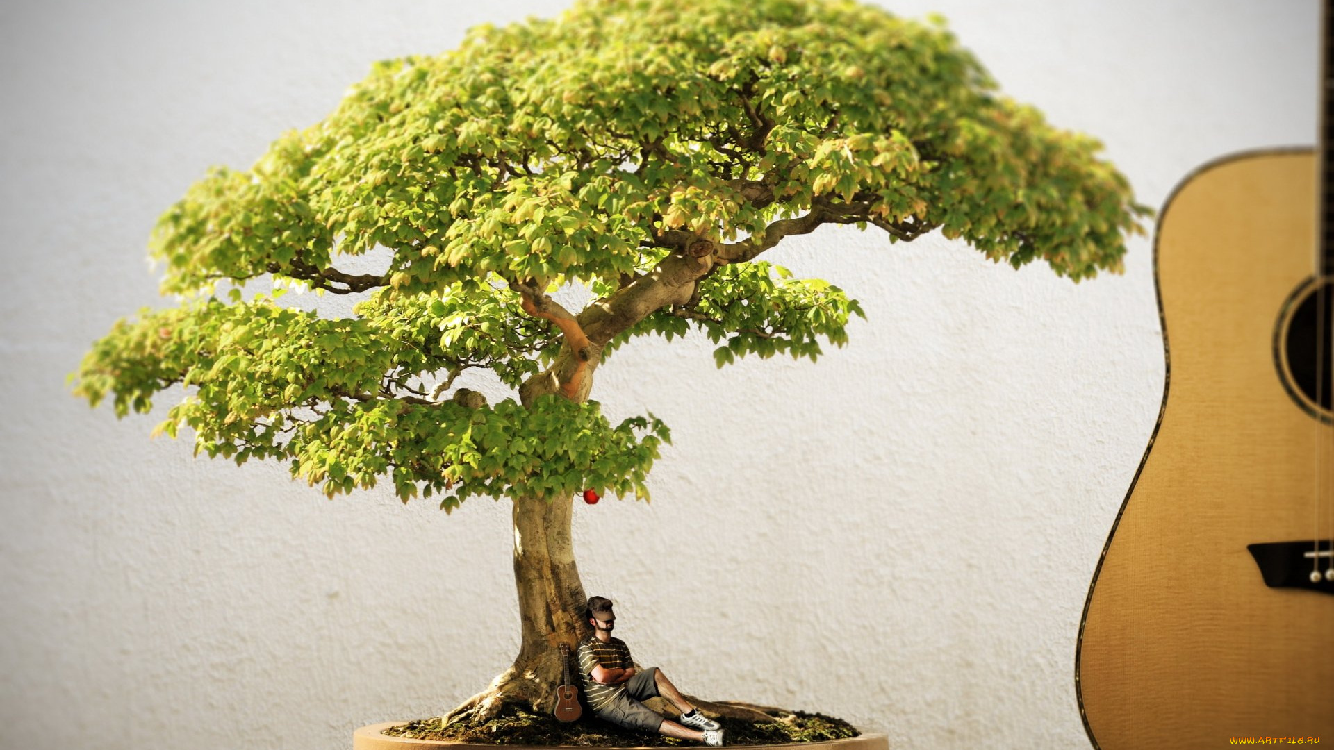 музыка, -другое, растение, гитара, человек