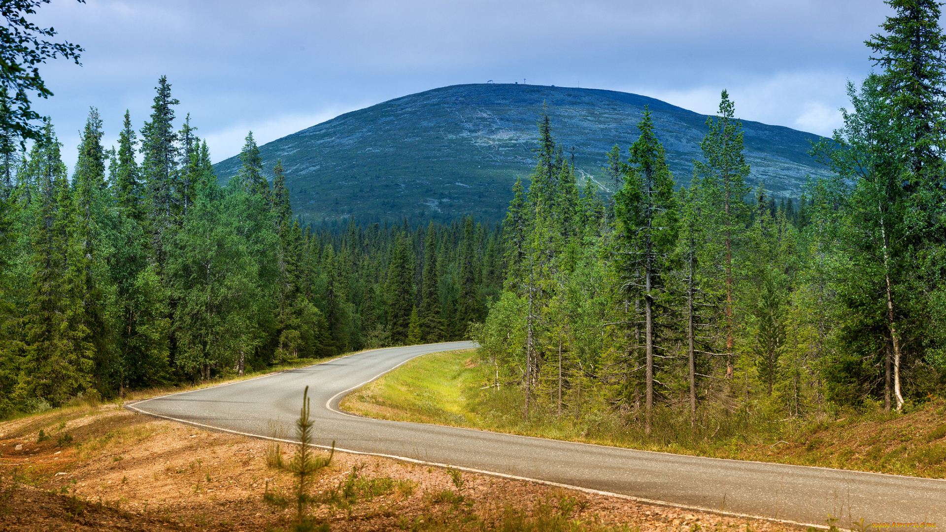 природа, дороги, простор