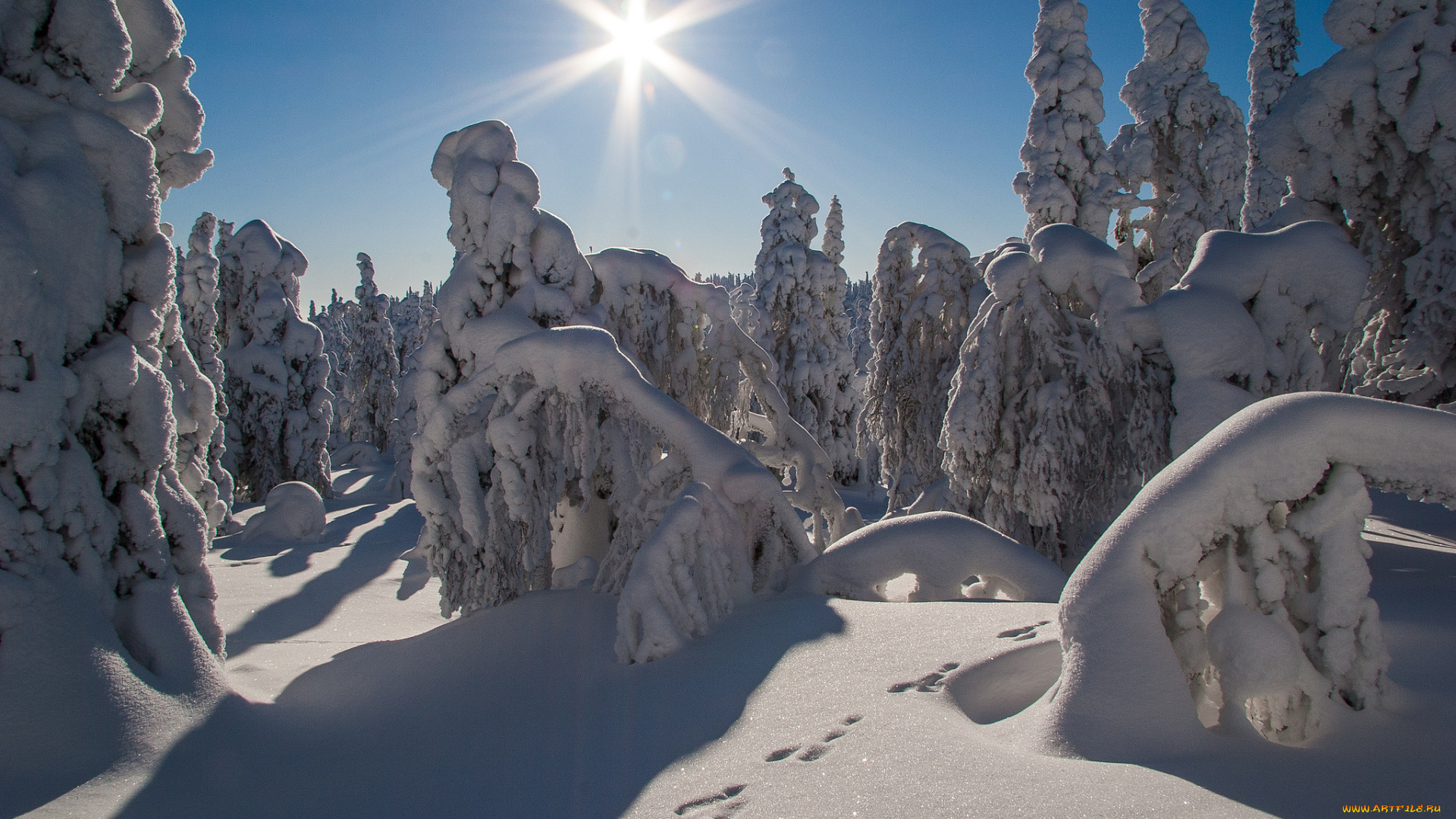 природа, зима, простор