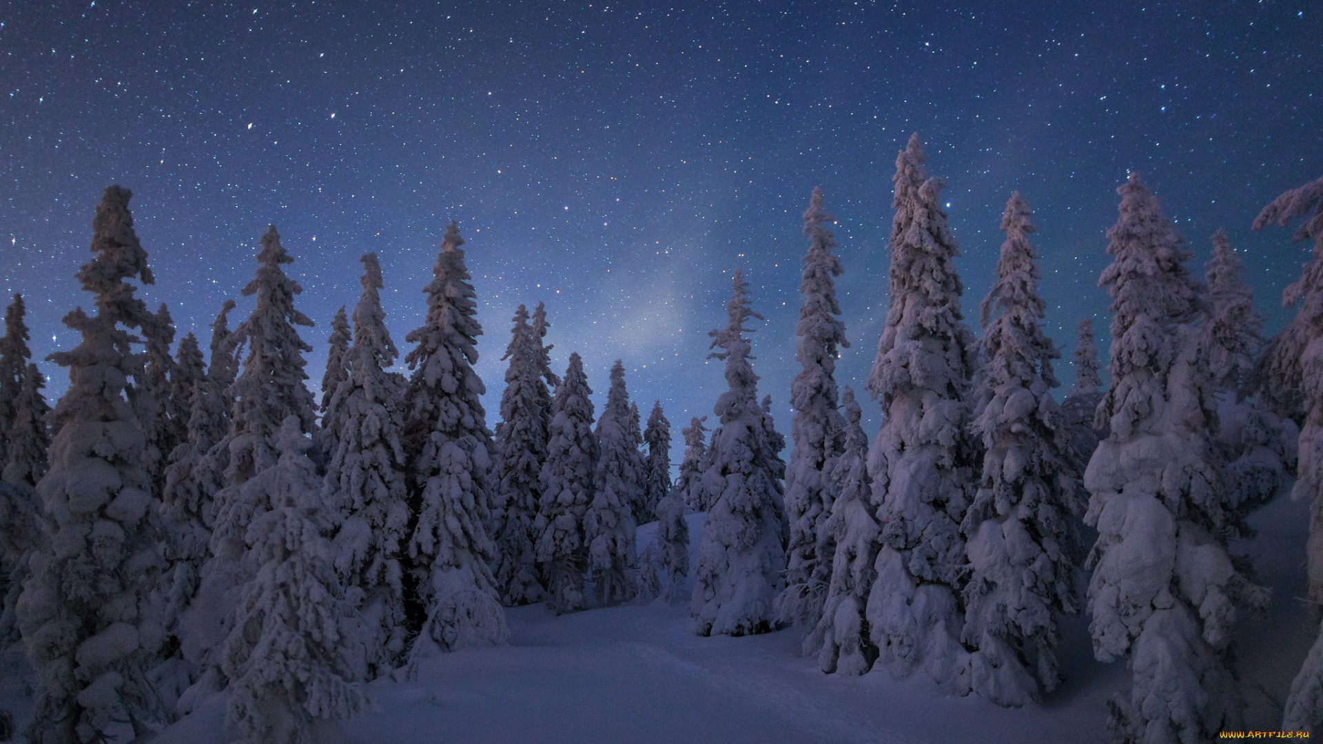 природа, зима, простор