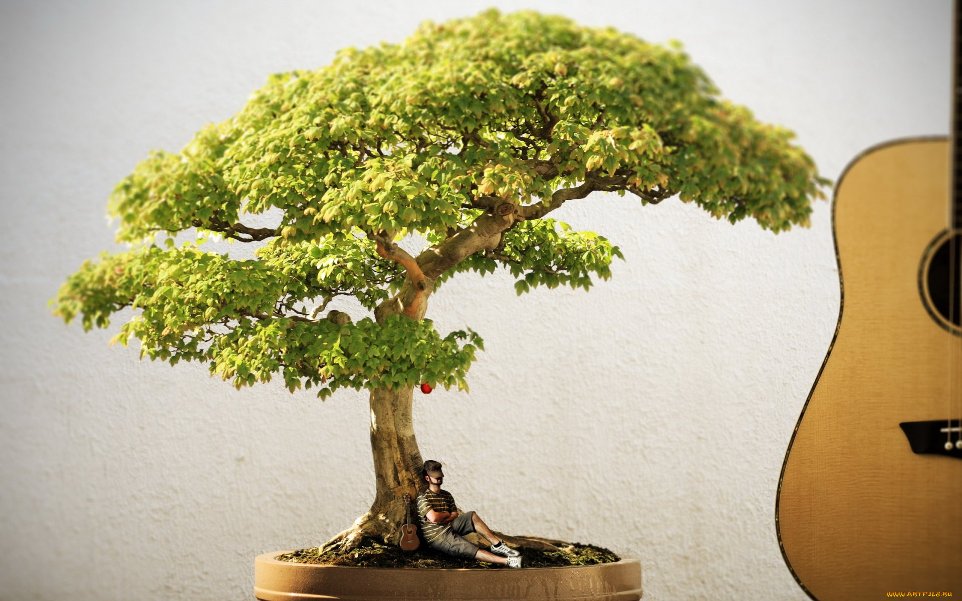музыка, -другое, растение, гитара, человек