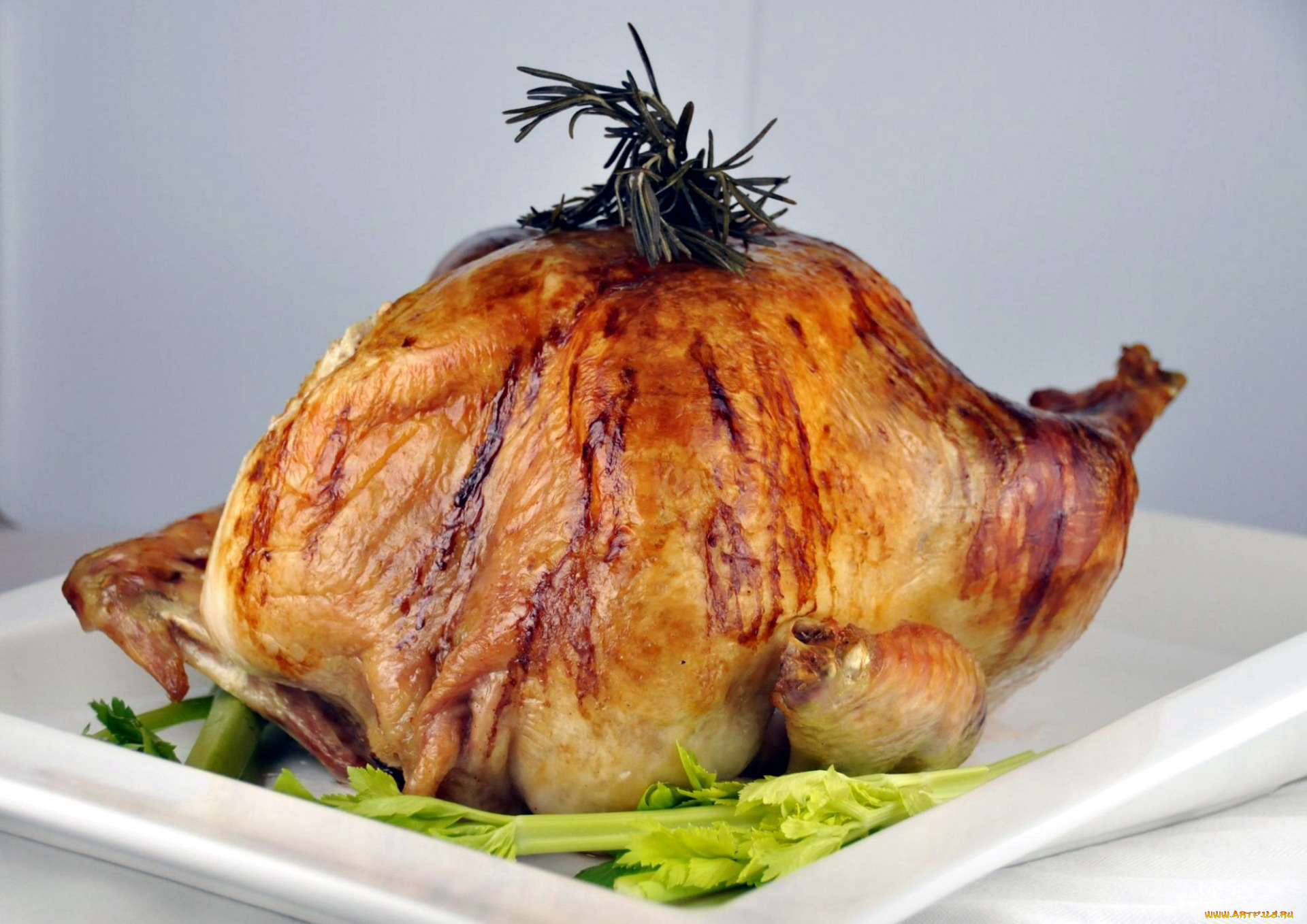 еда, мясные, блюда, курица