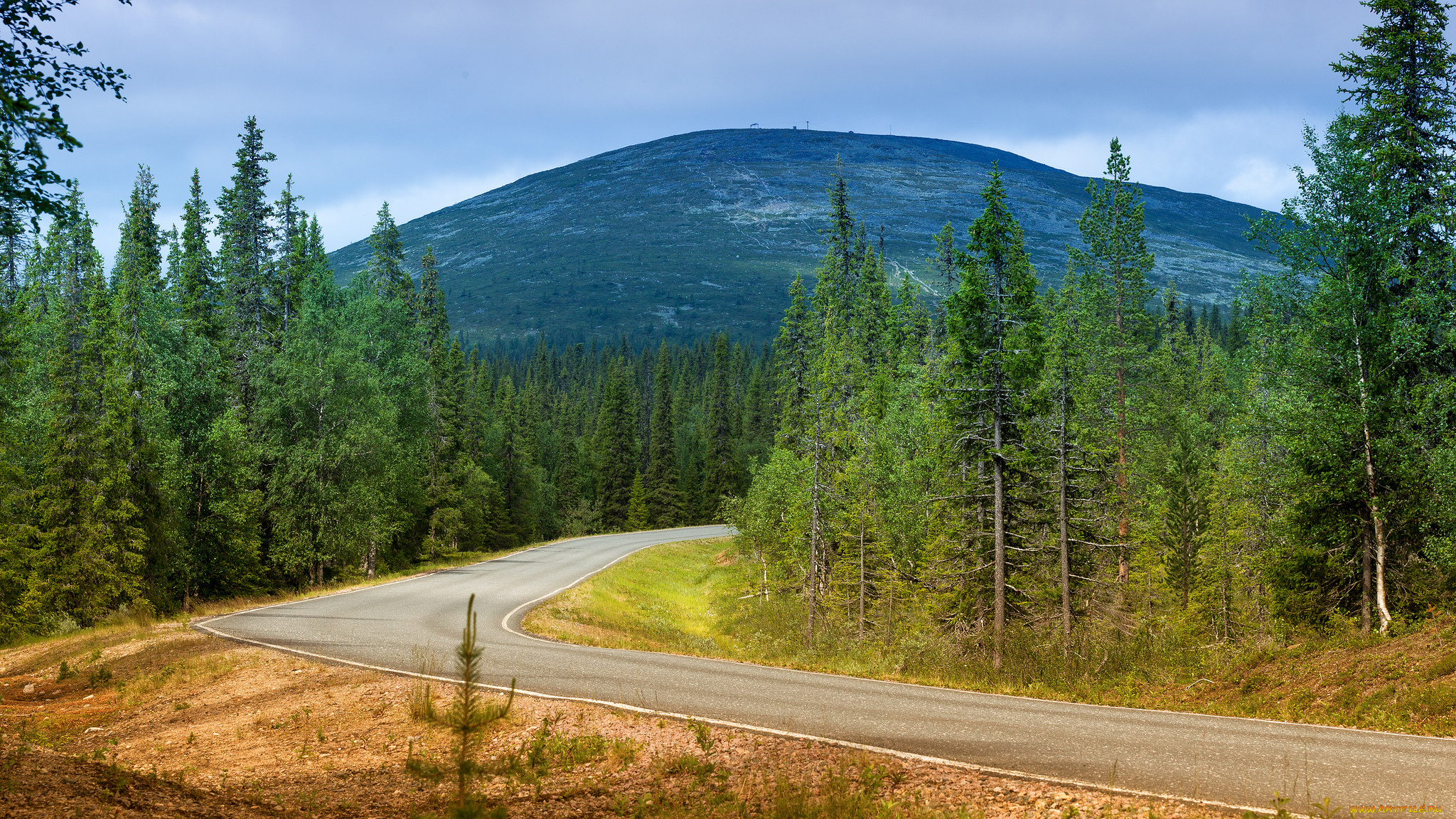 природа, дороги, простор