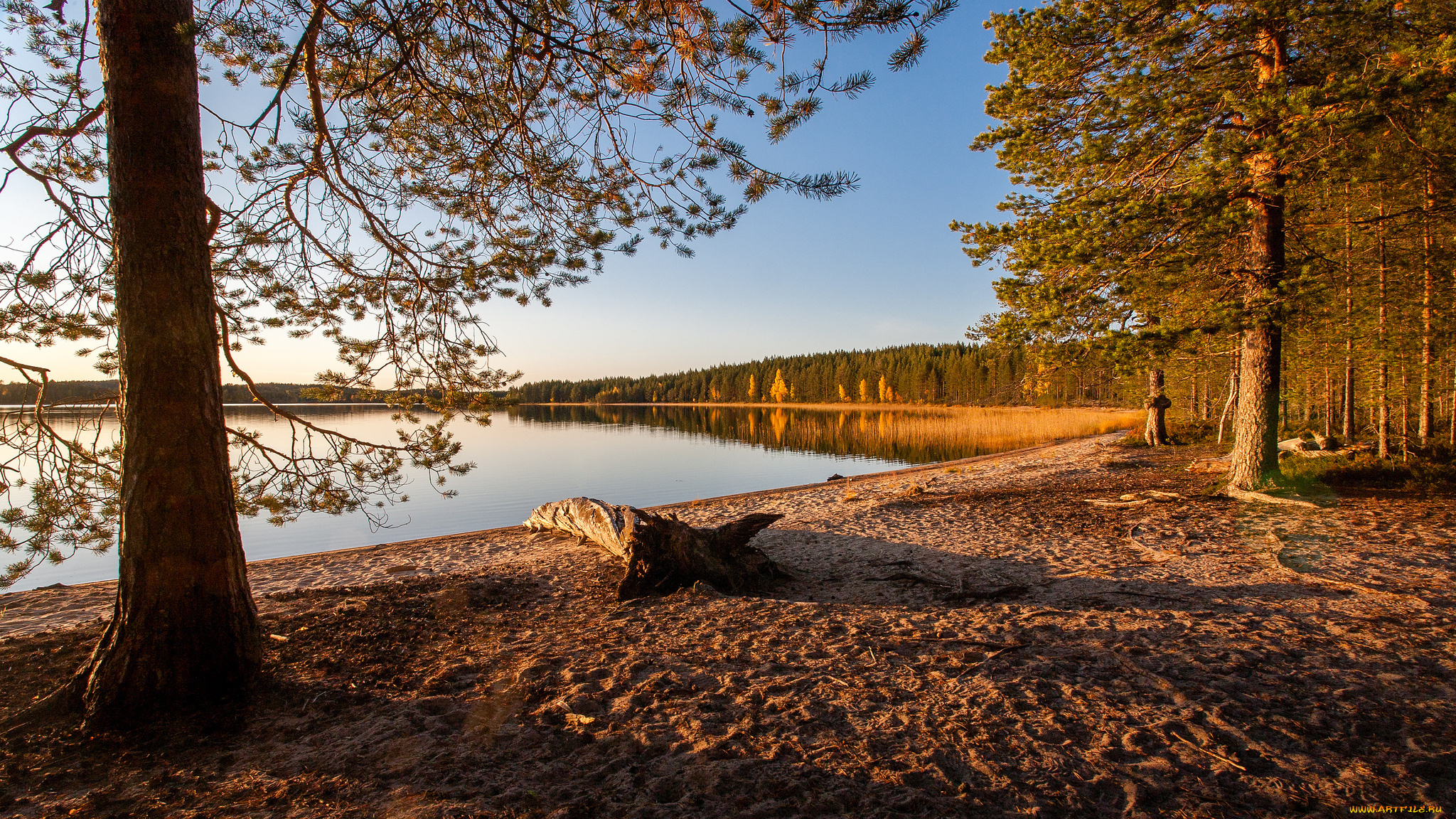 природа, реки, озера, простор