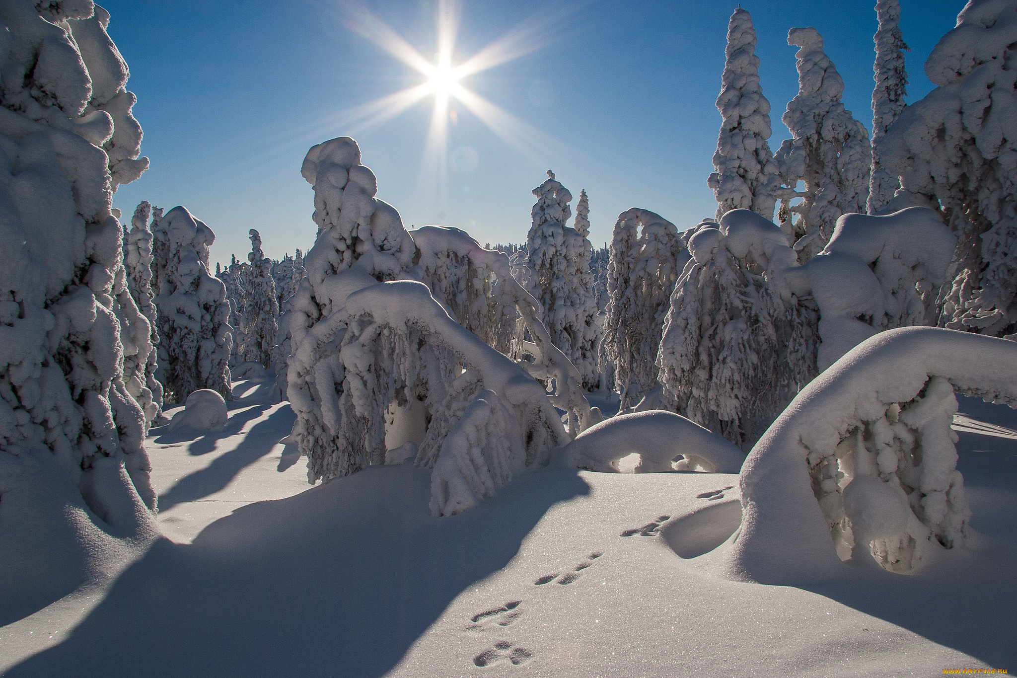 природа, зима, простор