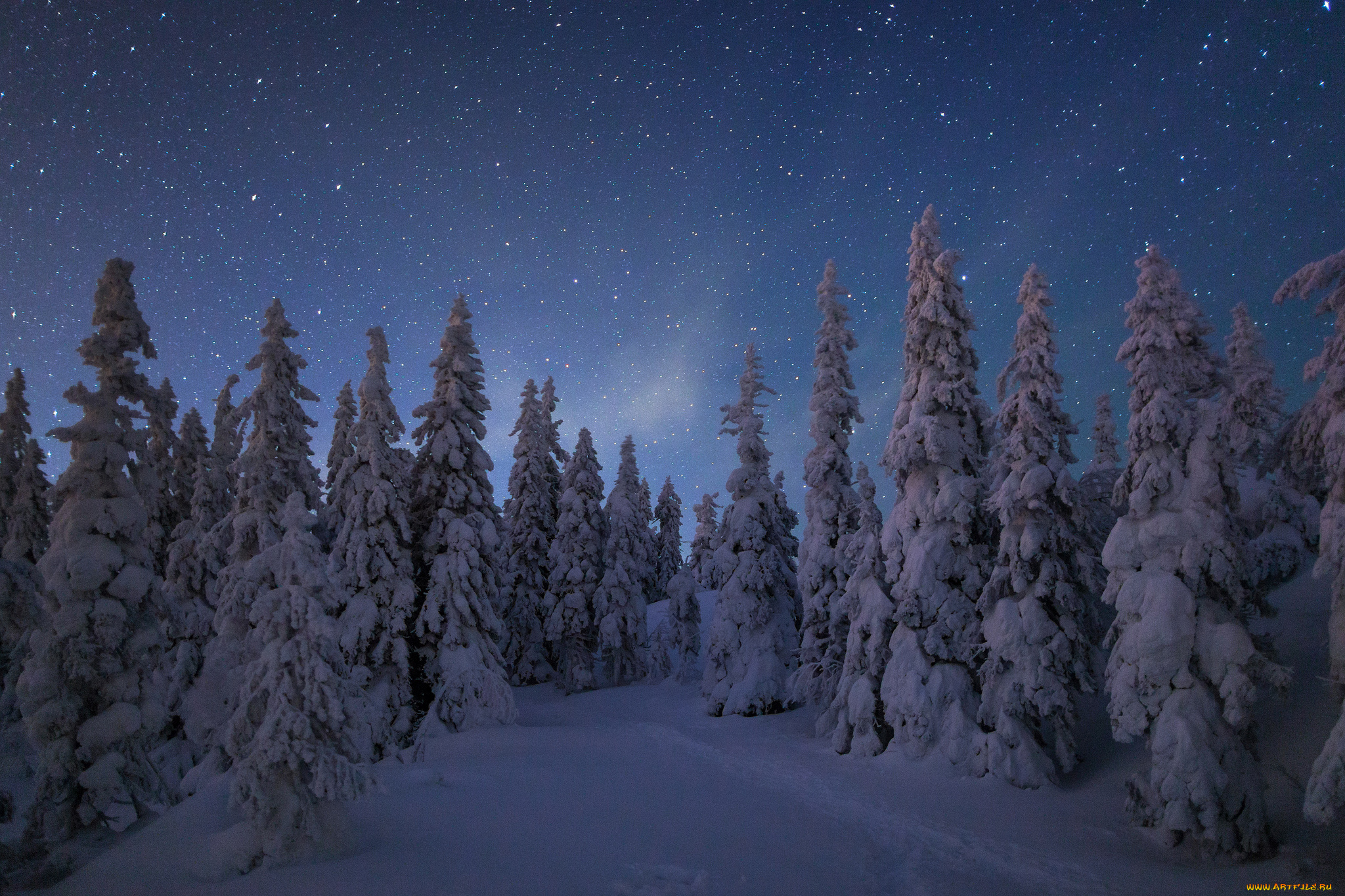 природа, зима, простор