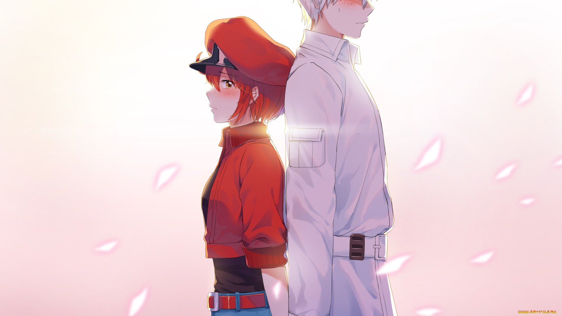 cells, at, work, аниме, hataraku, saibou, , cells, at, work, двое