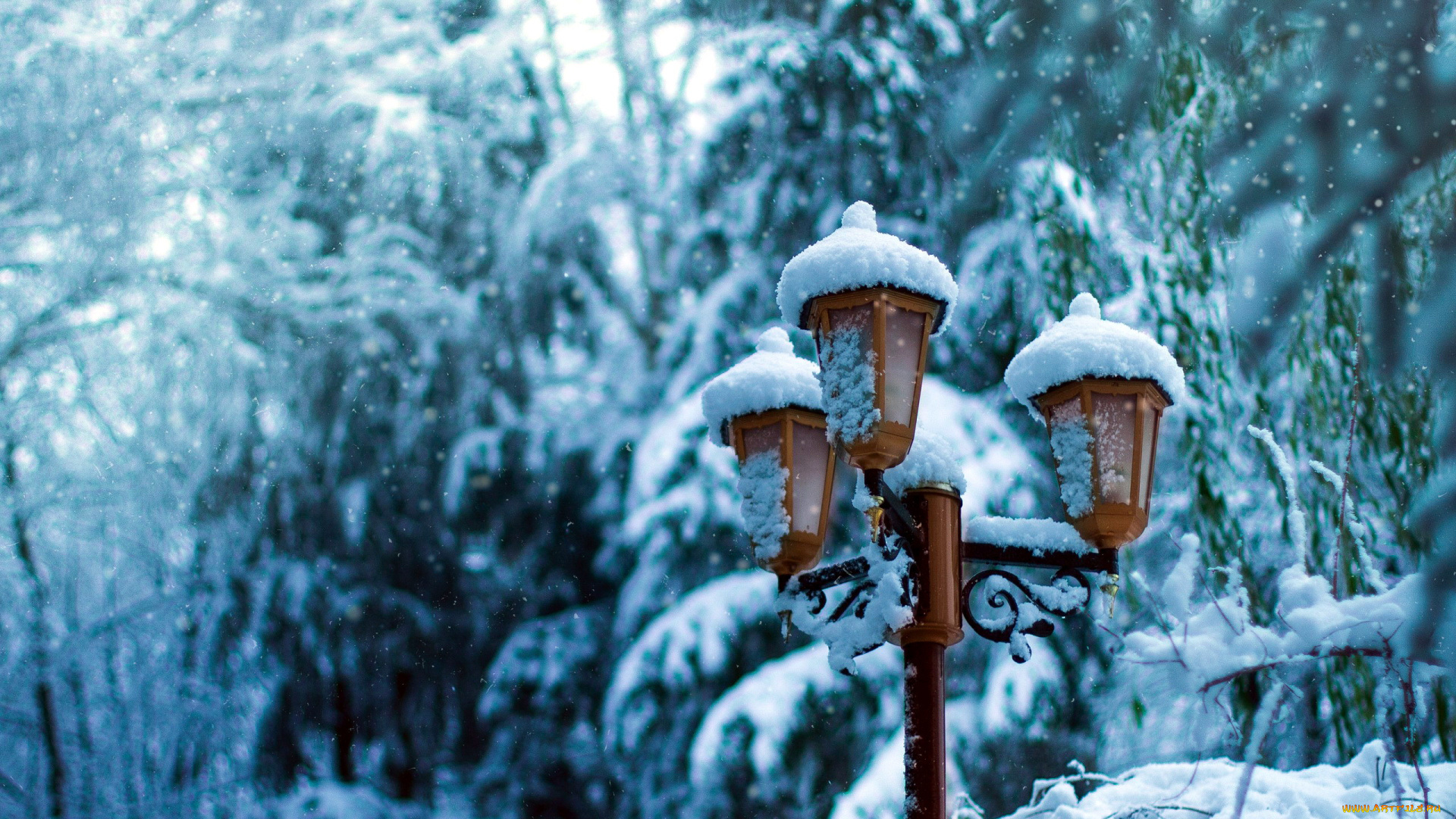 разное, осветительные, приборы, фонарь, зима